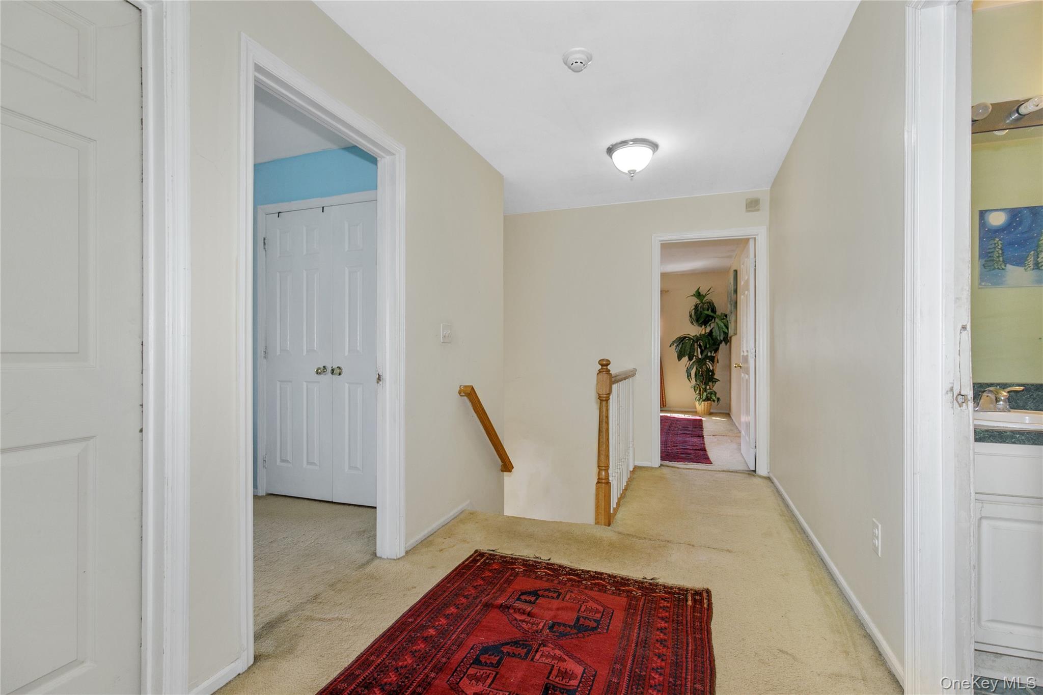 5 Naomi Court