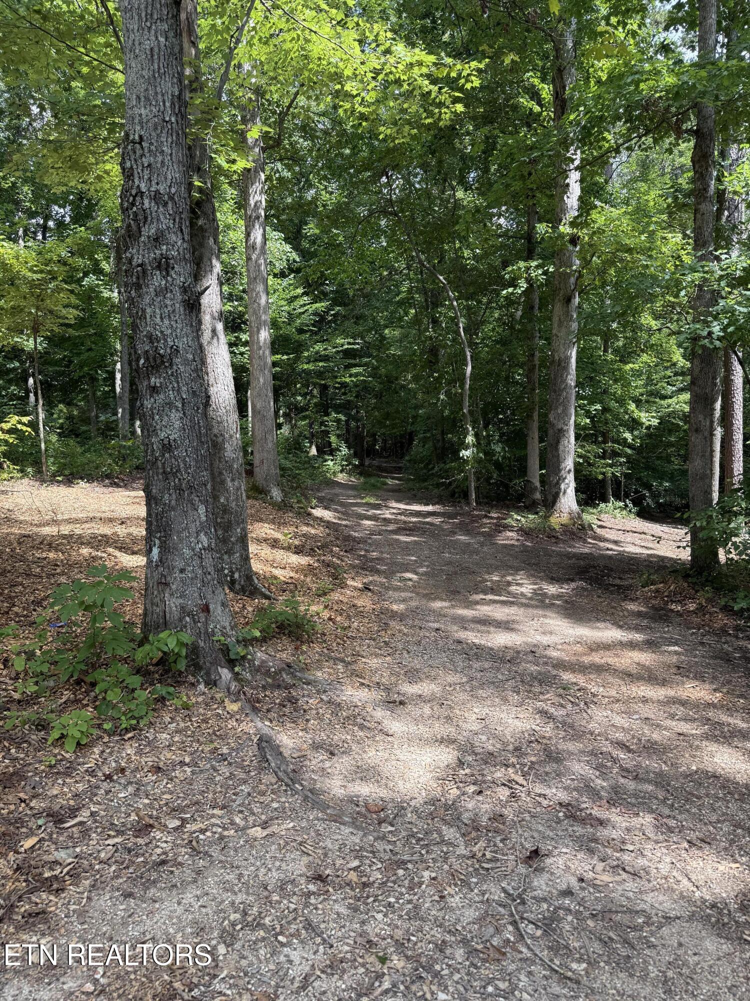 Rocky Top Rd