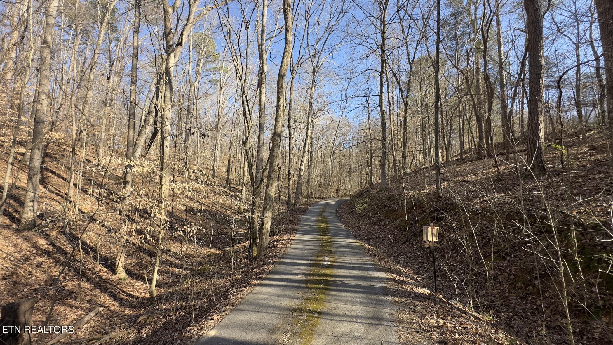 Rocky Top Rd