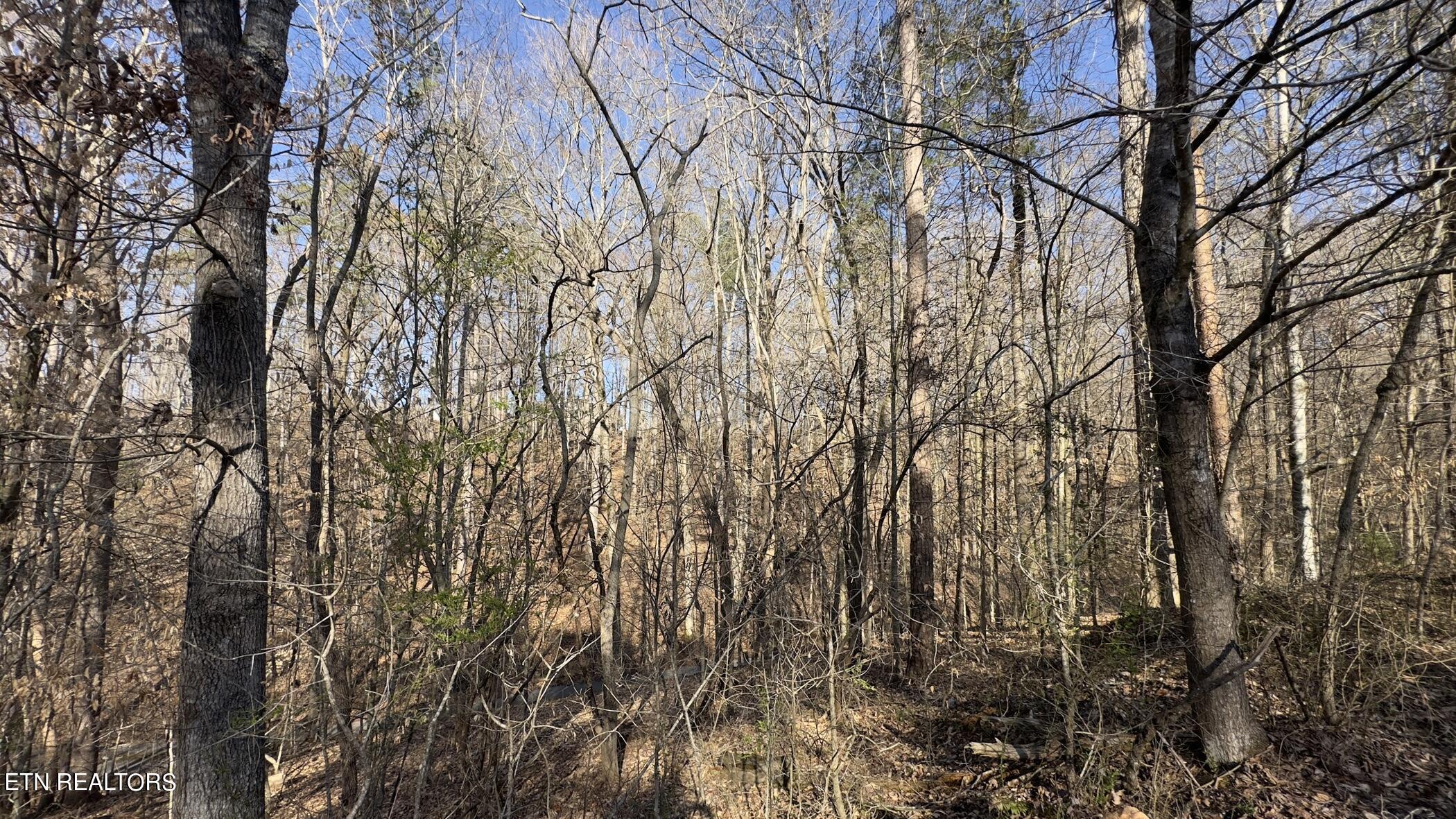 Rocky Top Rd