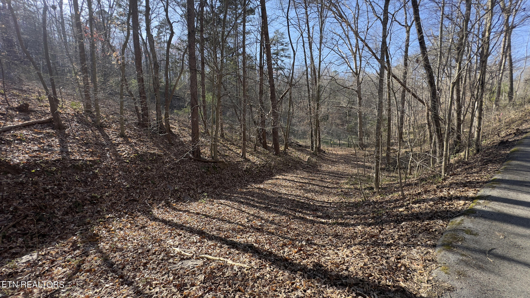 Rocky Top Rd