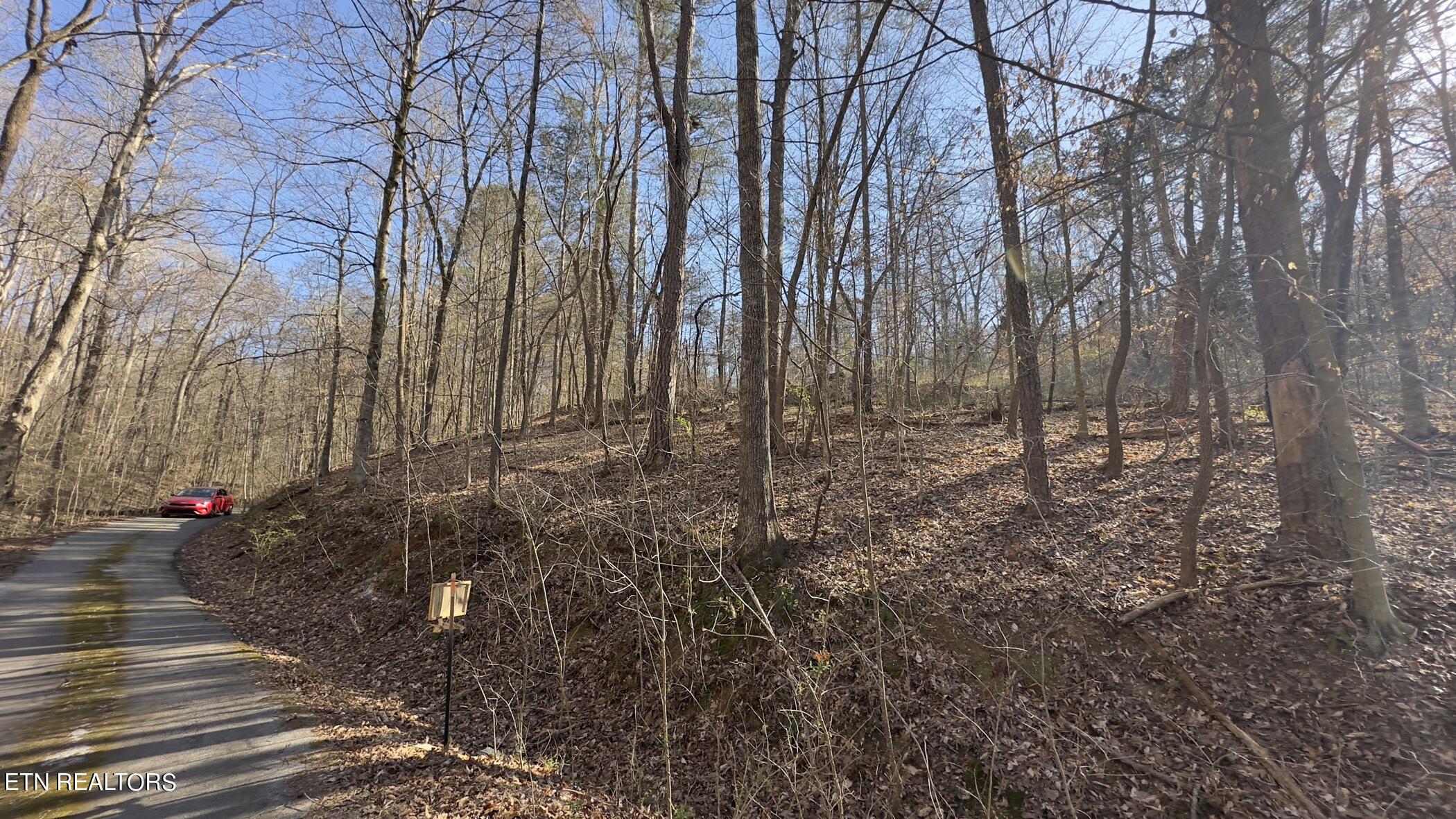 Rocky Top Rd