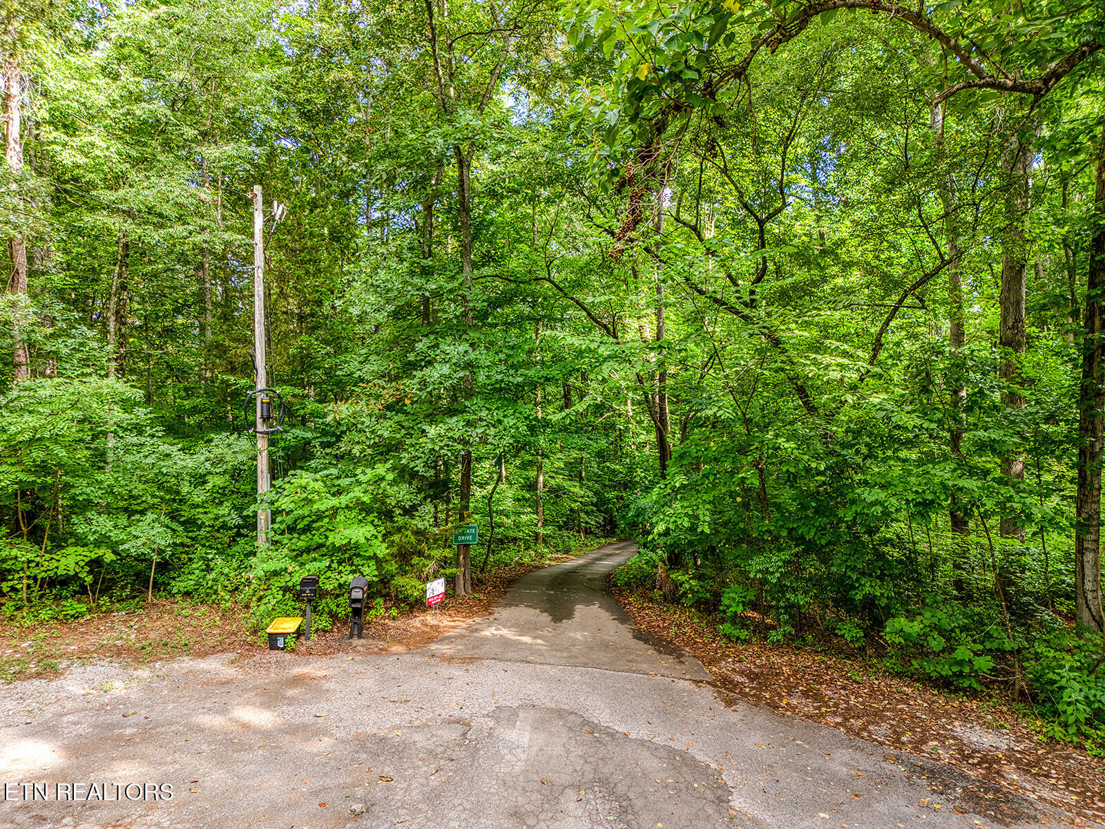 Rocky Top Rd