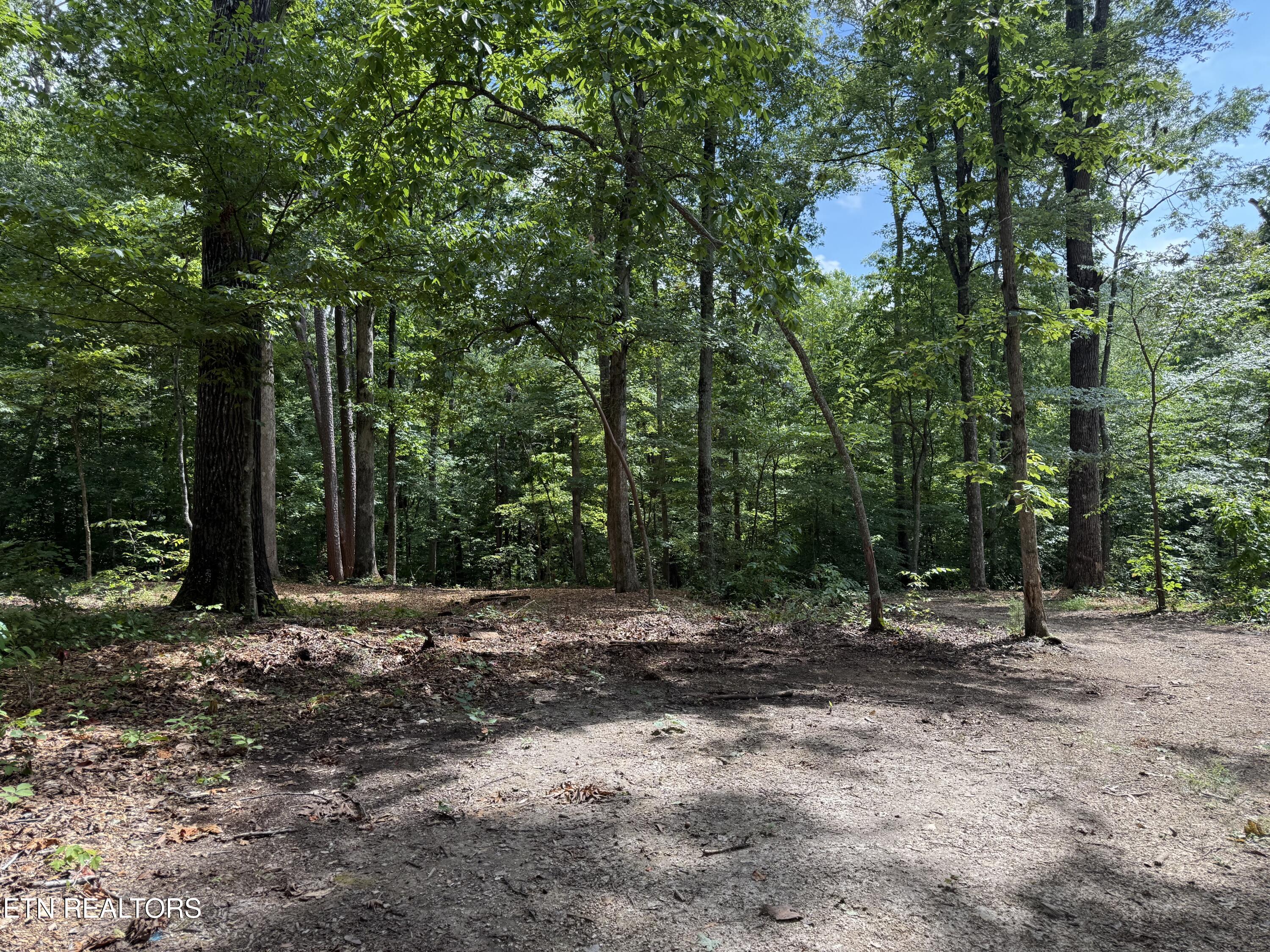 Rocky Top Rd