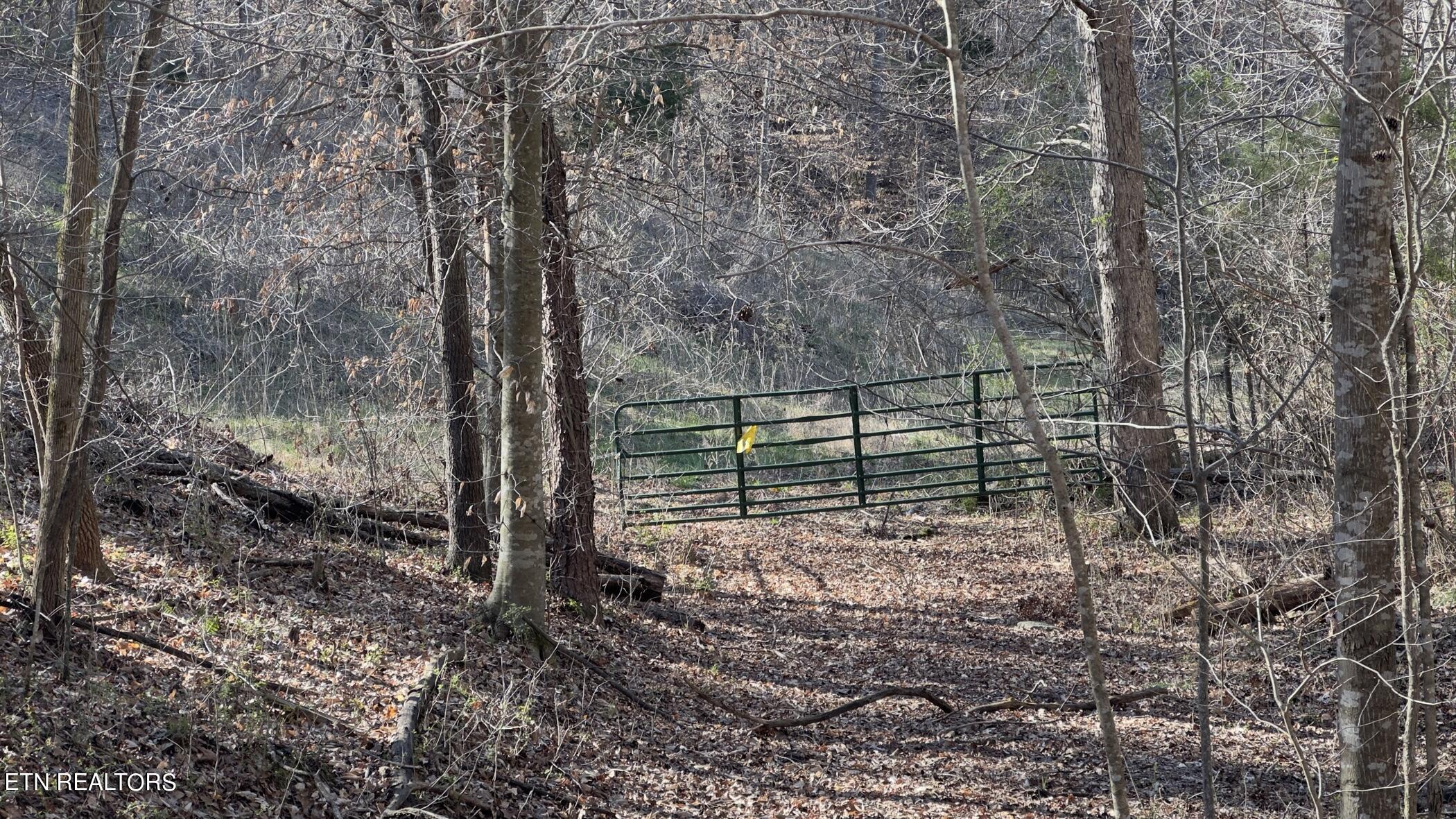 Rocky Top Rd