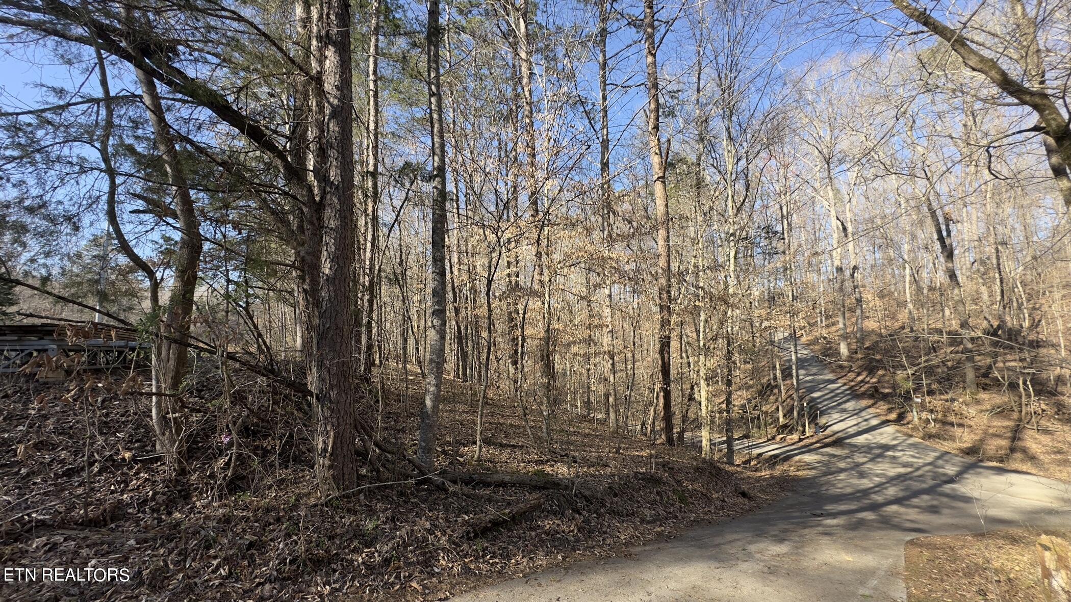 Rocky Top Rd