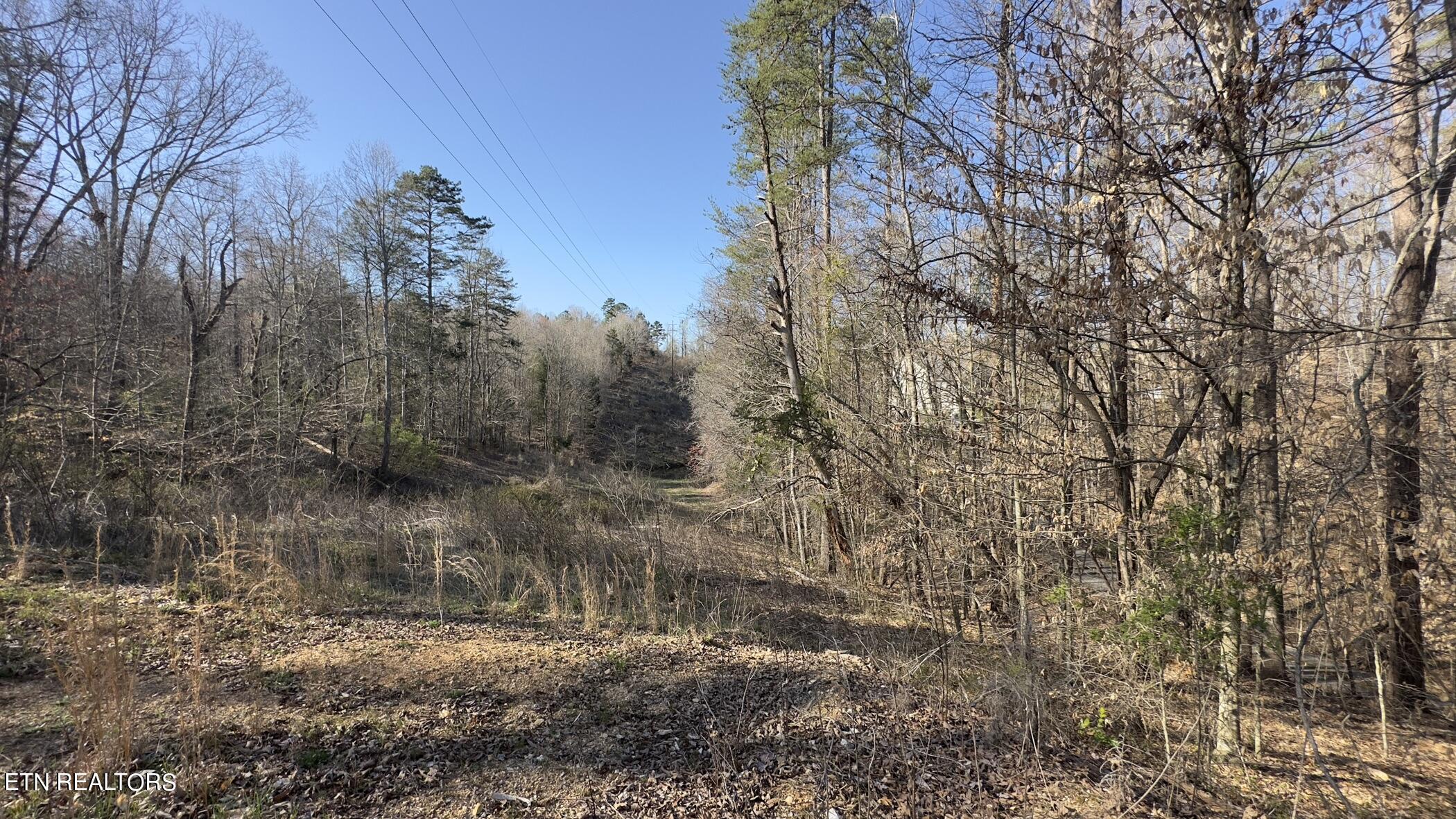 Rocky Top Rd