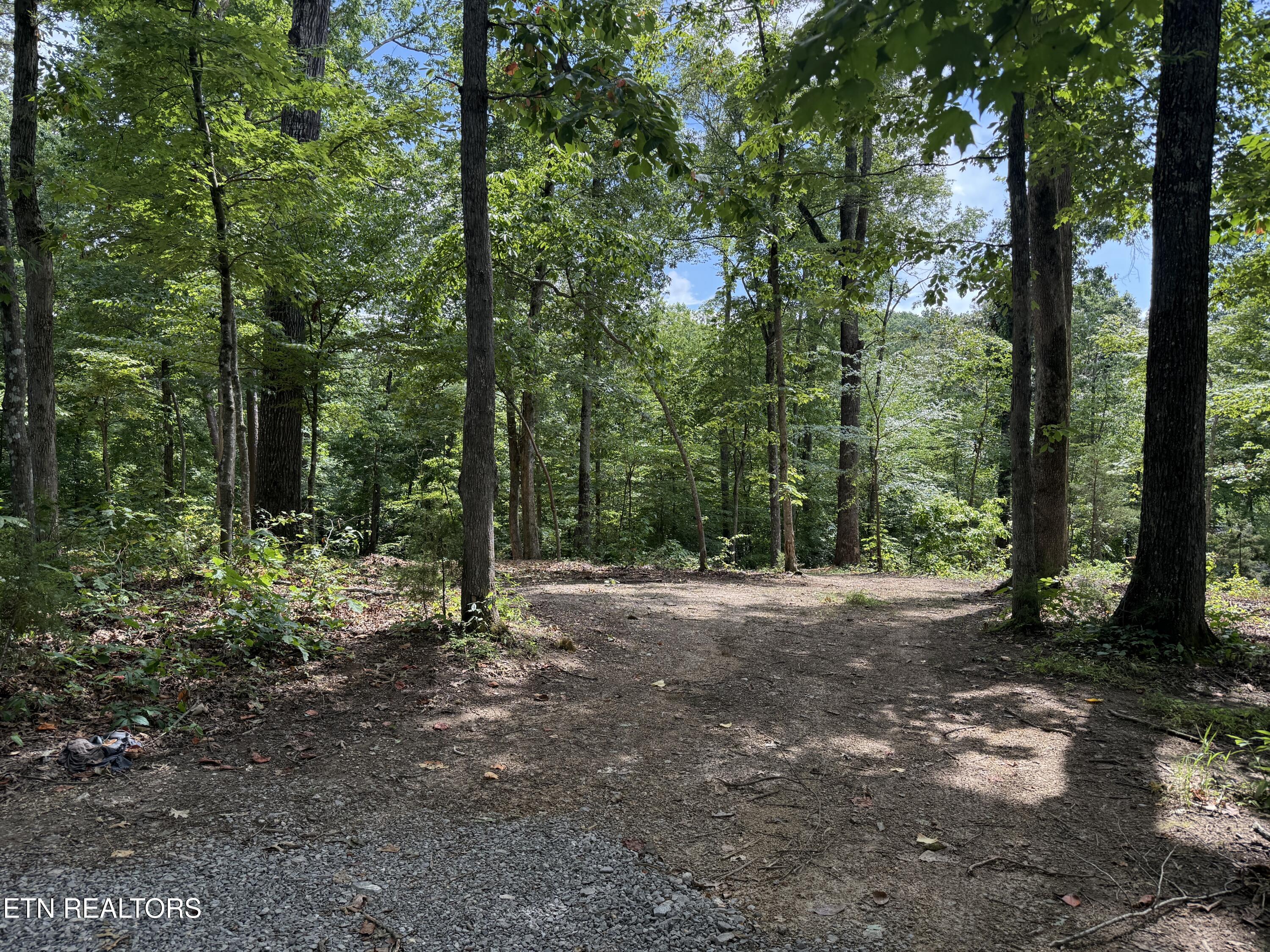 Rocky Top Rd