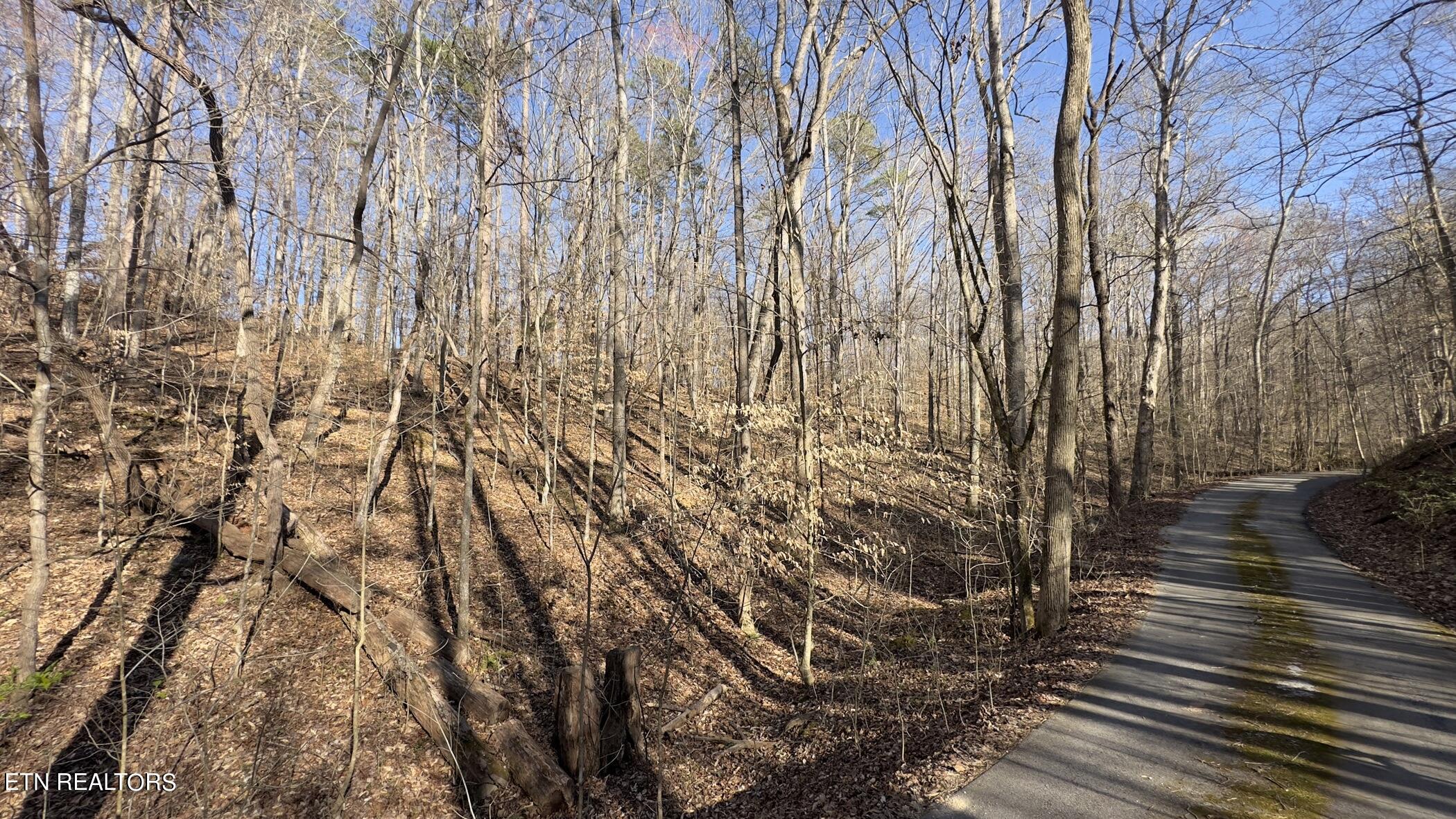 Rocky Top Rd