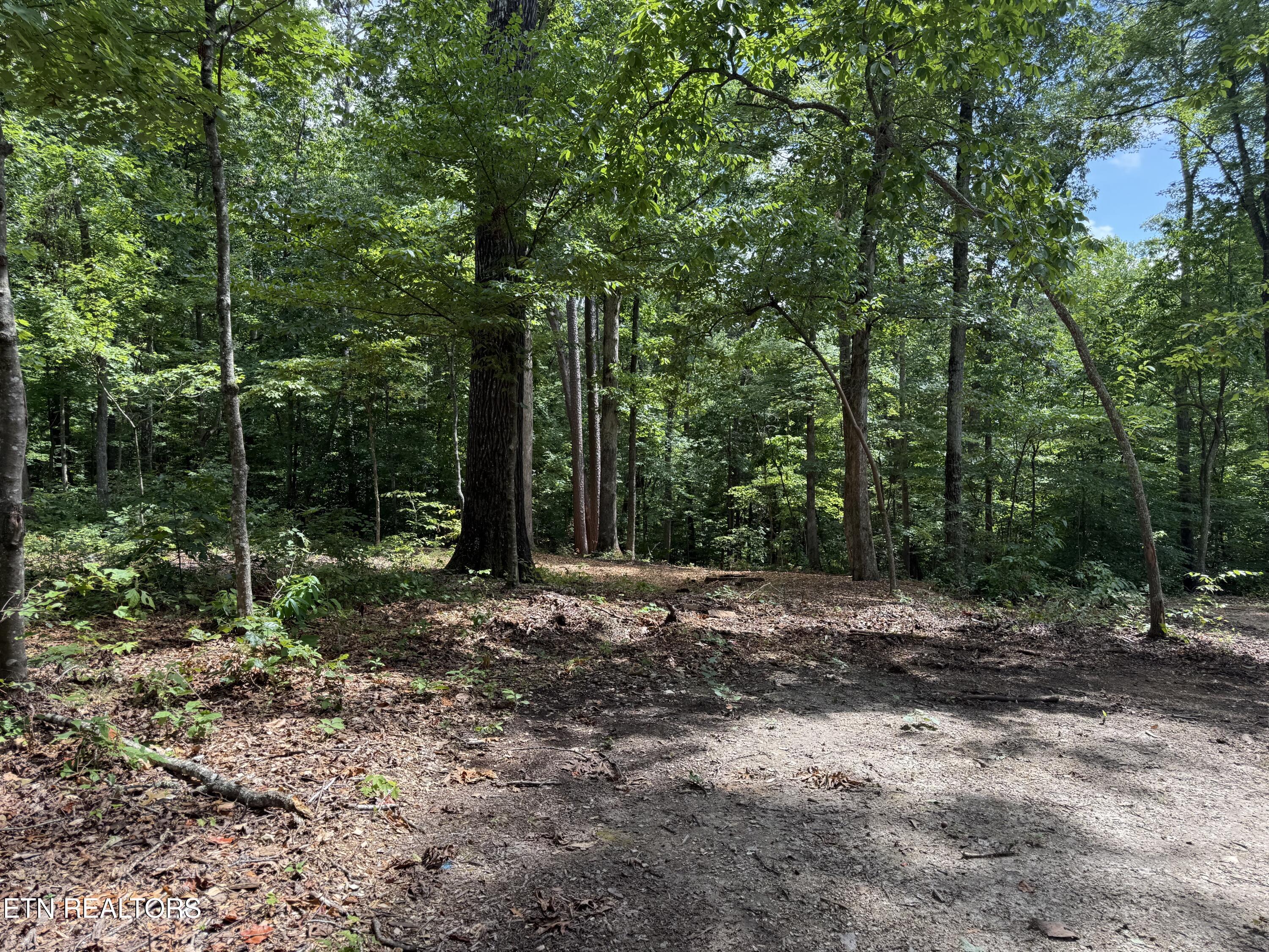 Rocky Top Rd