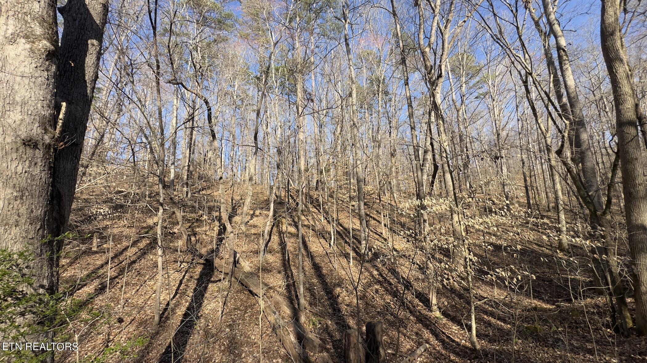 Rocky Top Rd