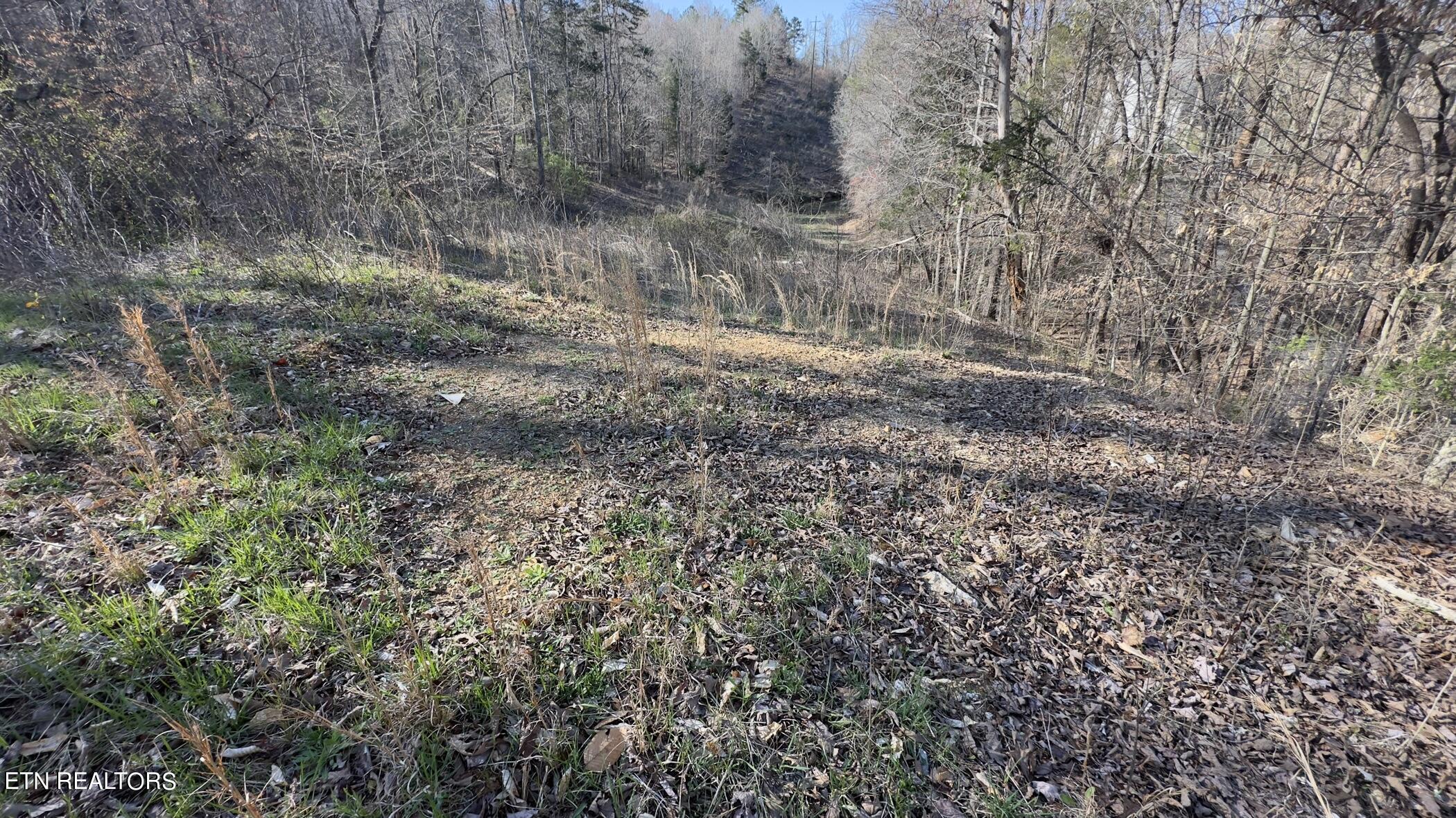 Rocky Top Rd
