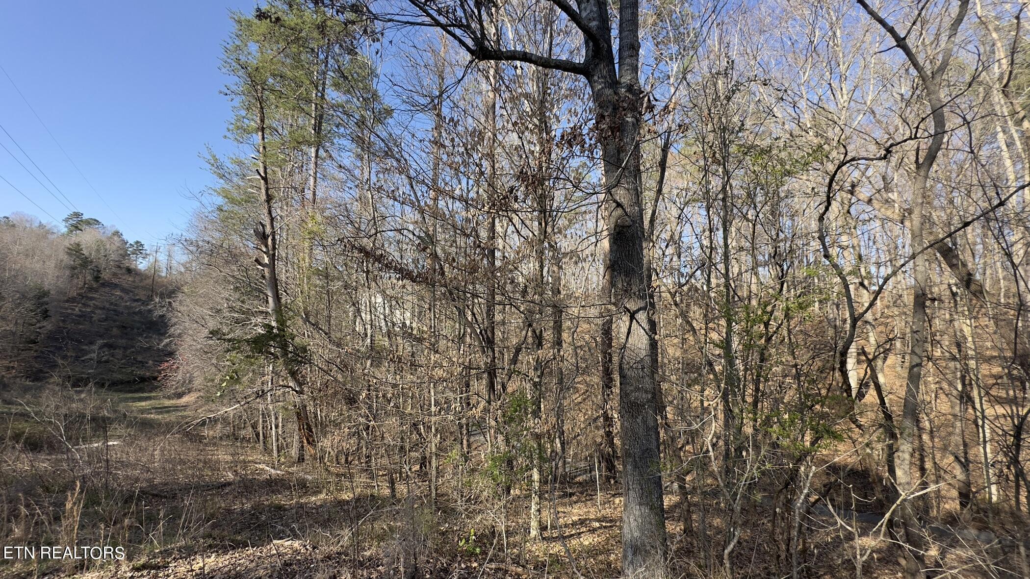 Rocky Top Rd