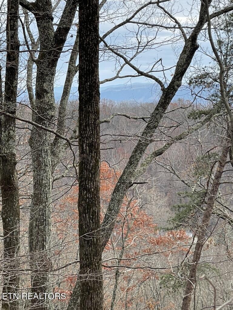 Rhea Rd