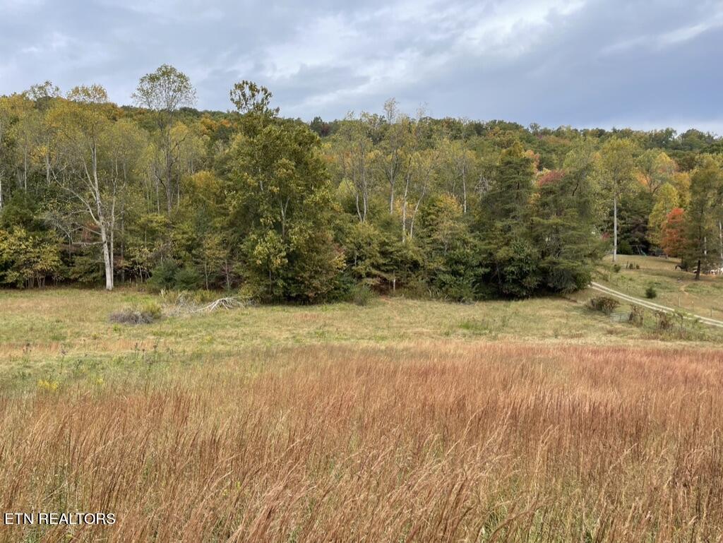 Rhea Rd