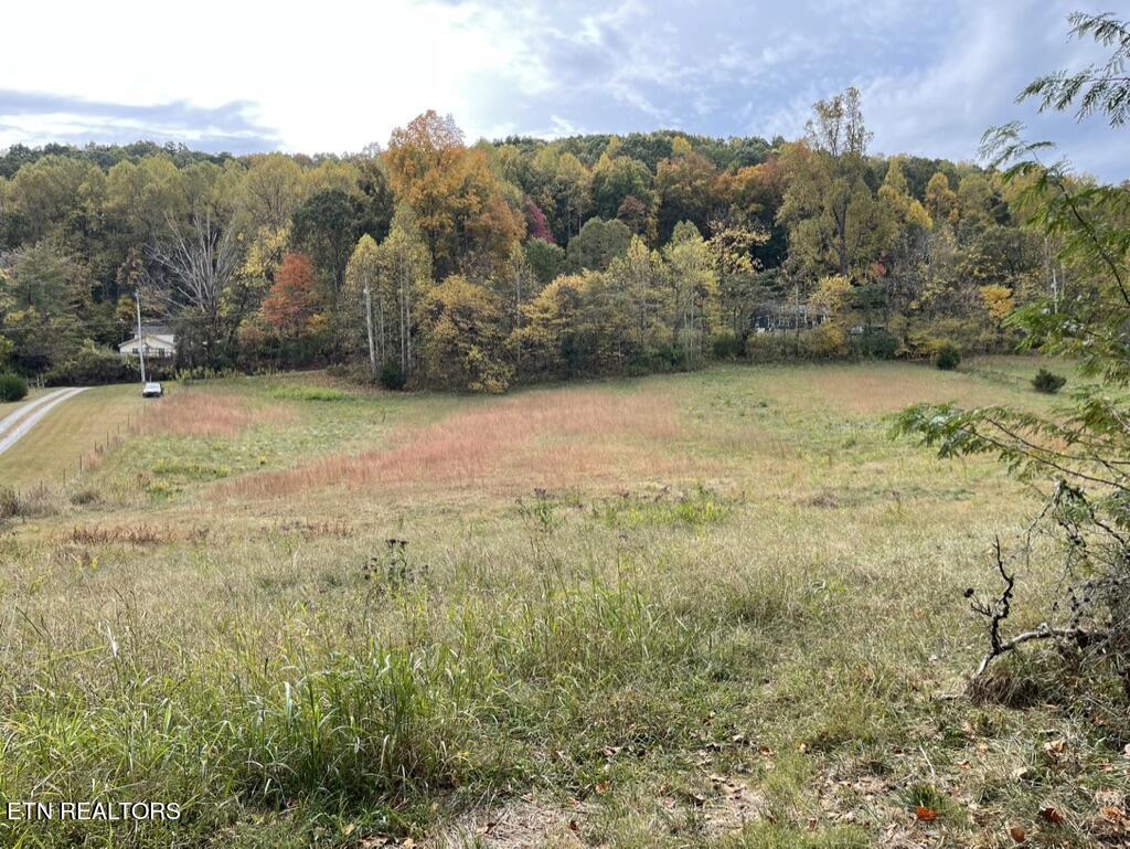 Rhea Rd