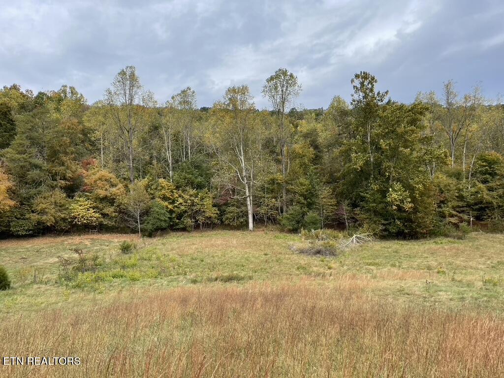 Rhea Rd