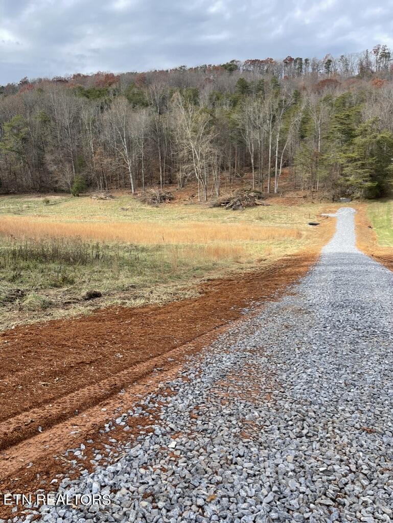 Rhea Rd