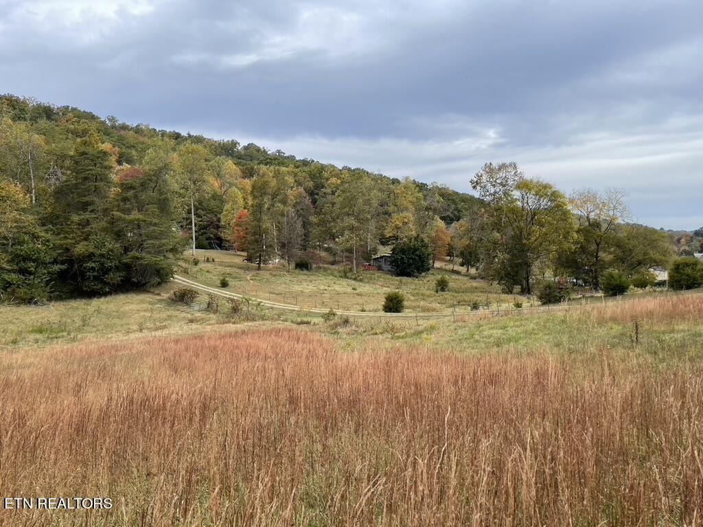 Rhea Rd