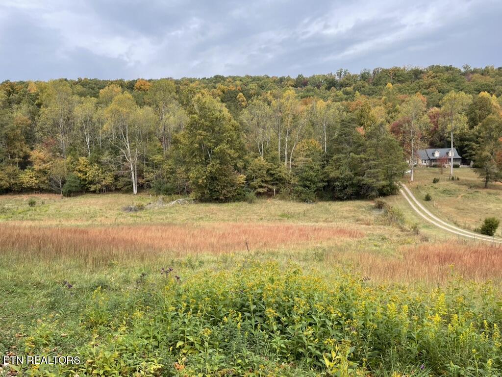 Rhea Rd