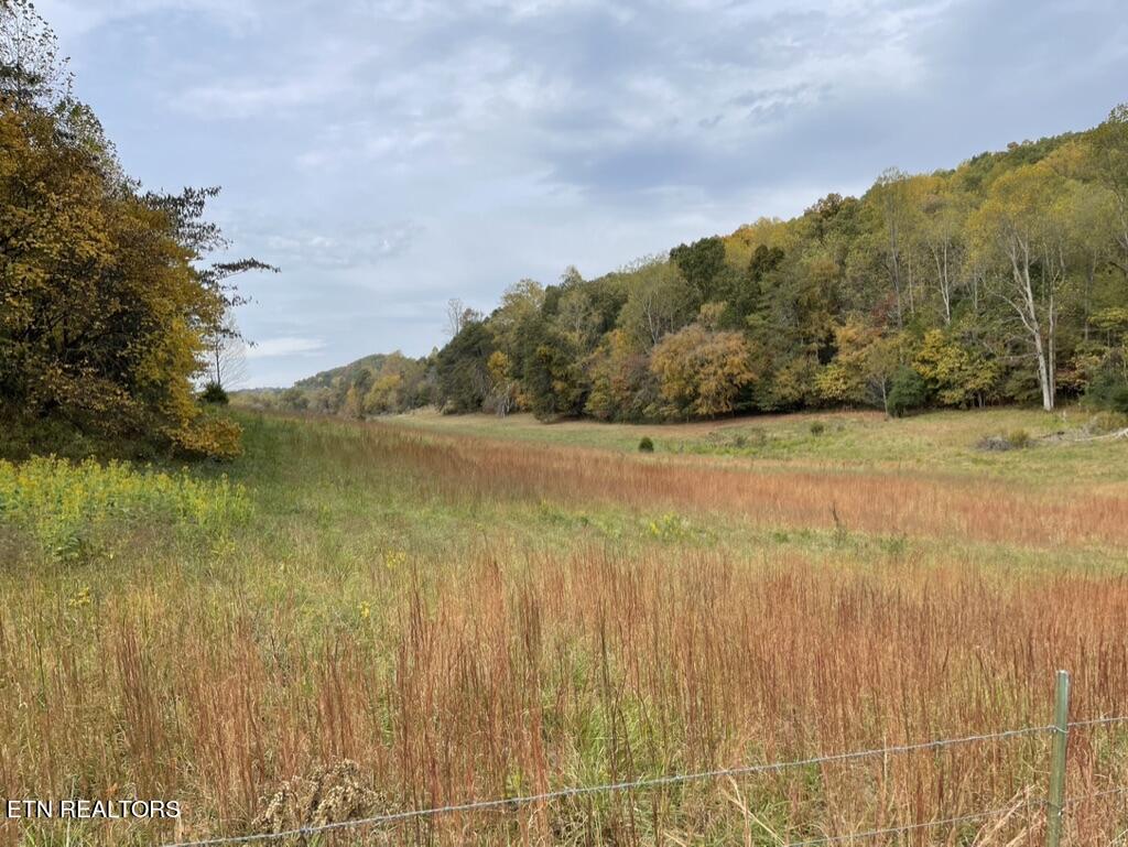 Rhea Rd