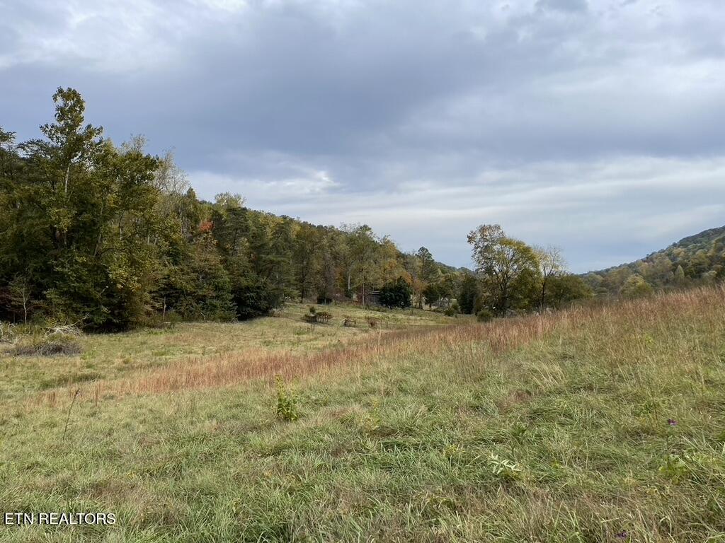 Rhea Rd