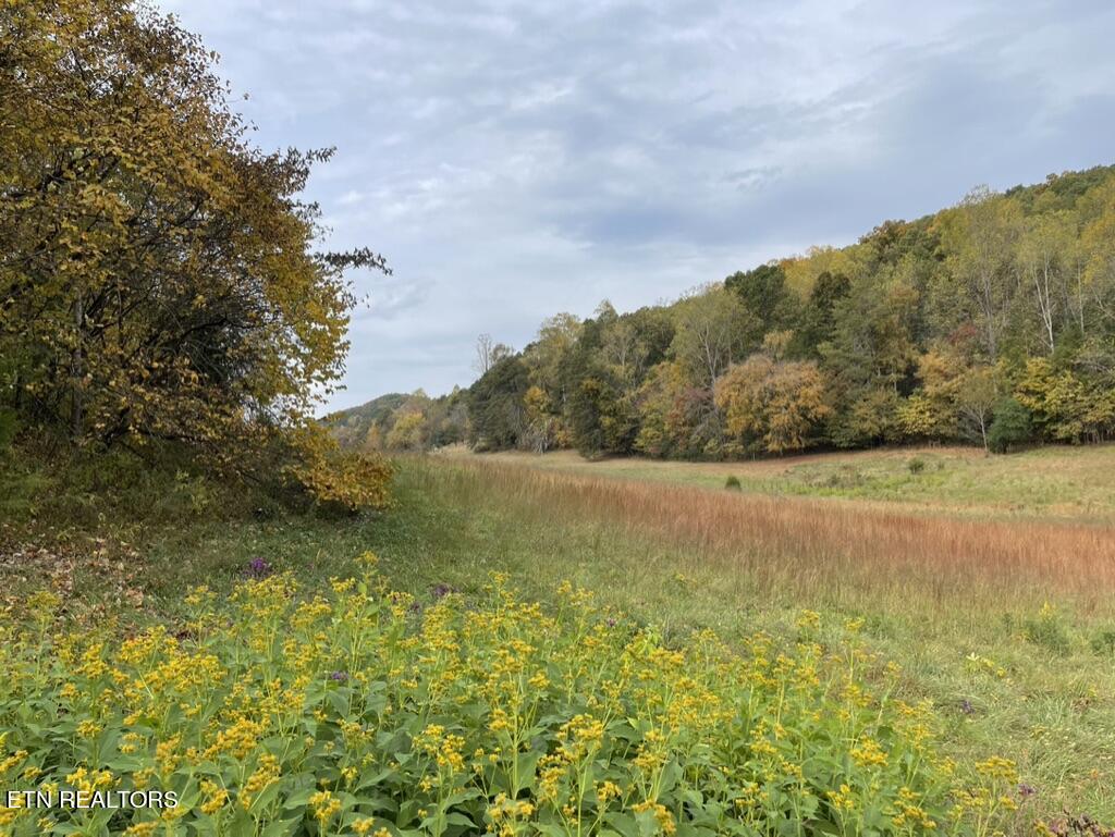 Rhea Rd