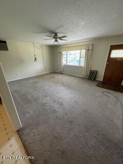 507 E Beech St, LaFollette