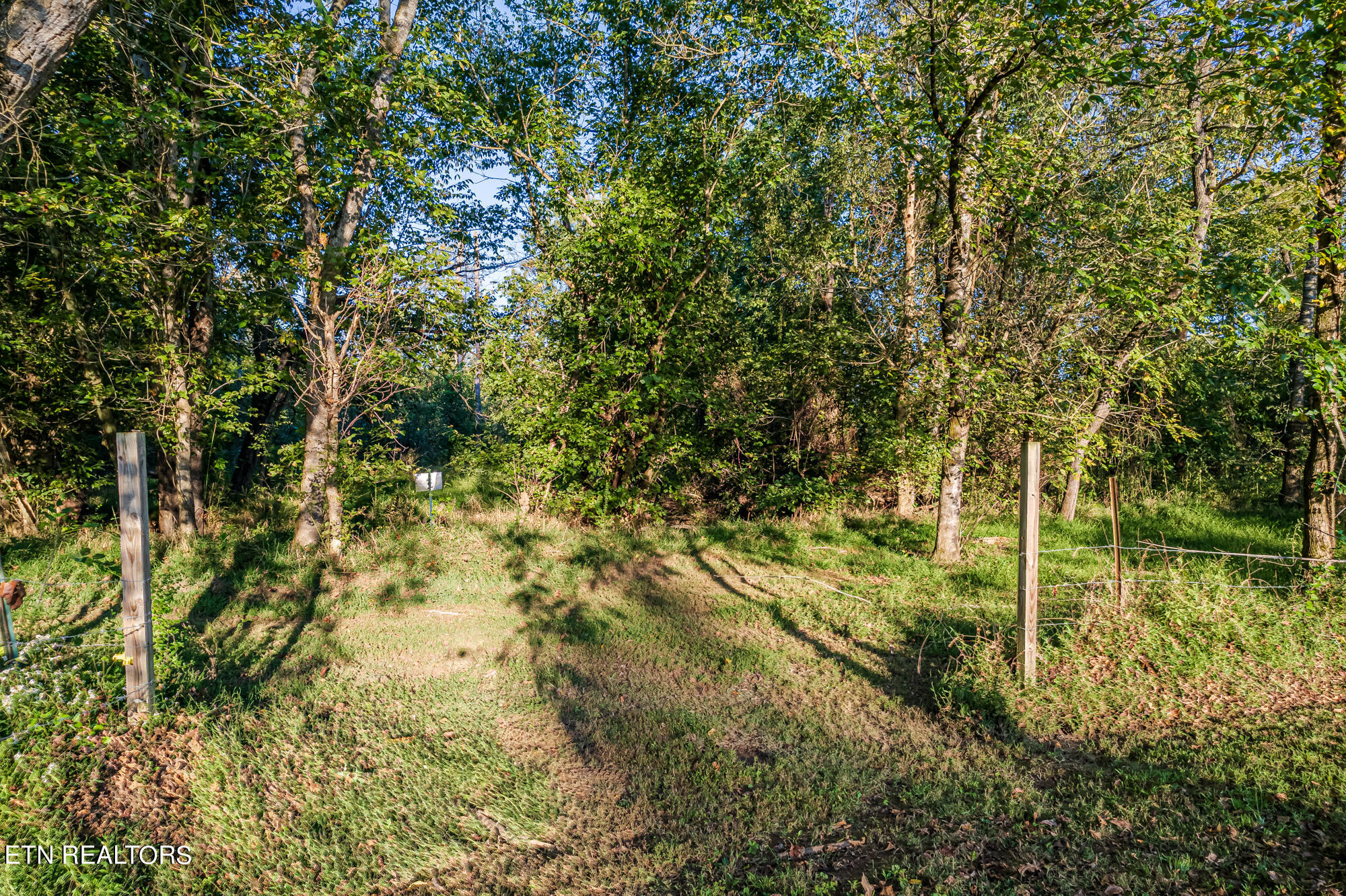 3694 Highway 411N