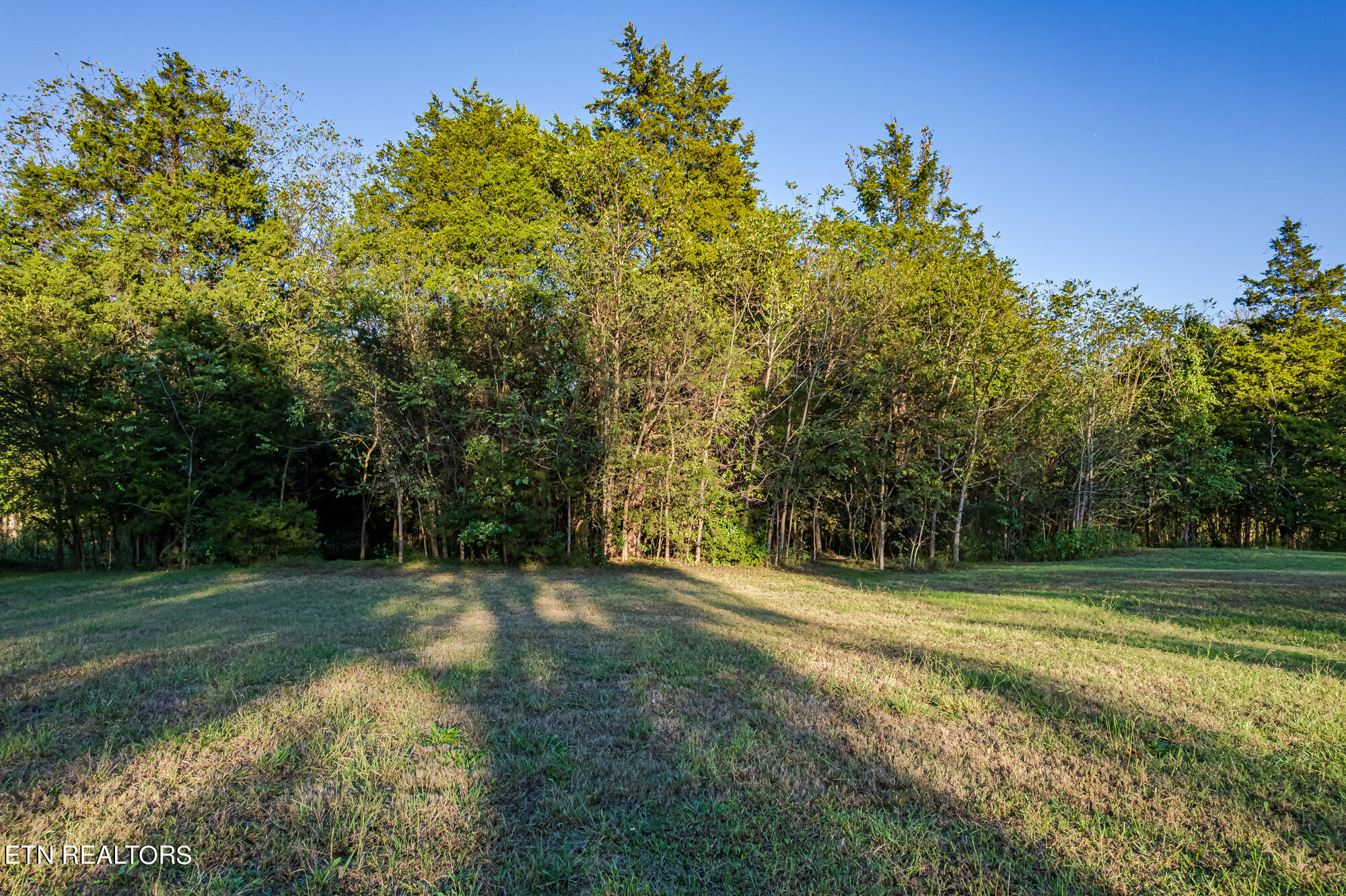 3694 Highway 411N