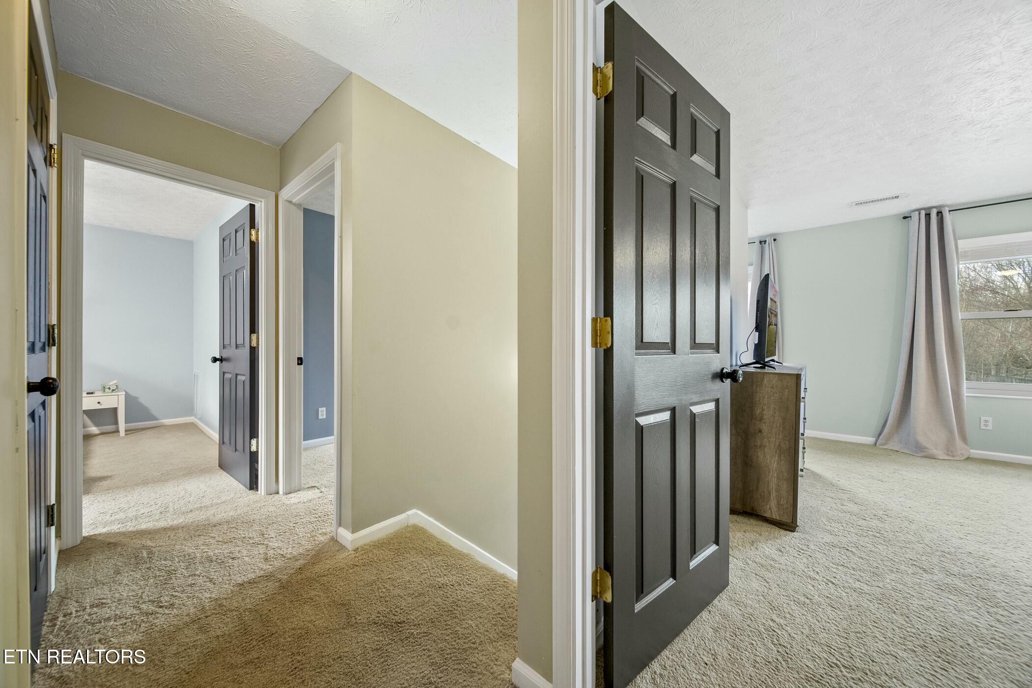 8206 Jack Russell Court