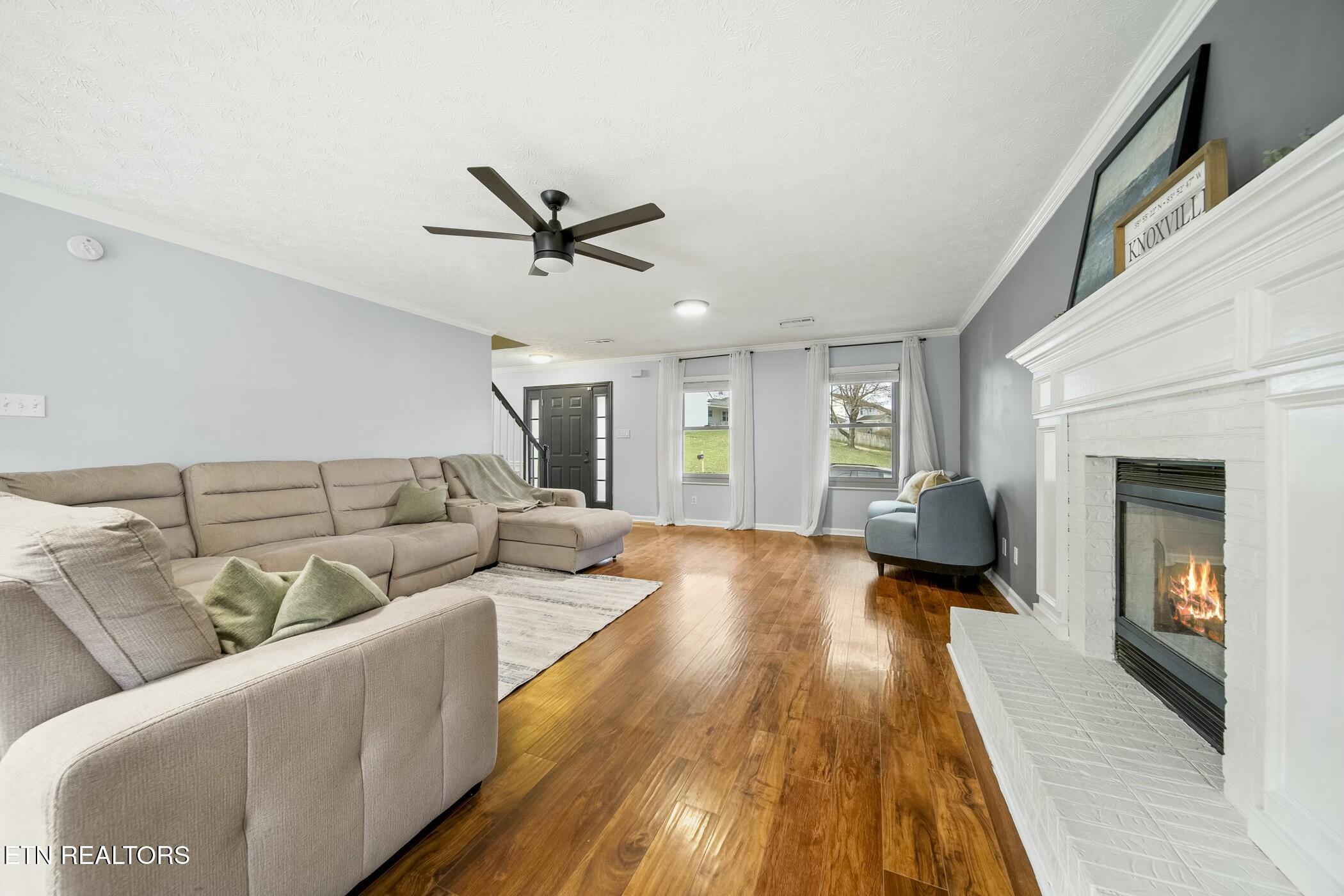8206 Jack Russell Court