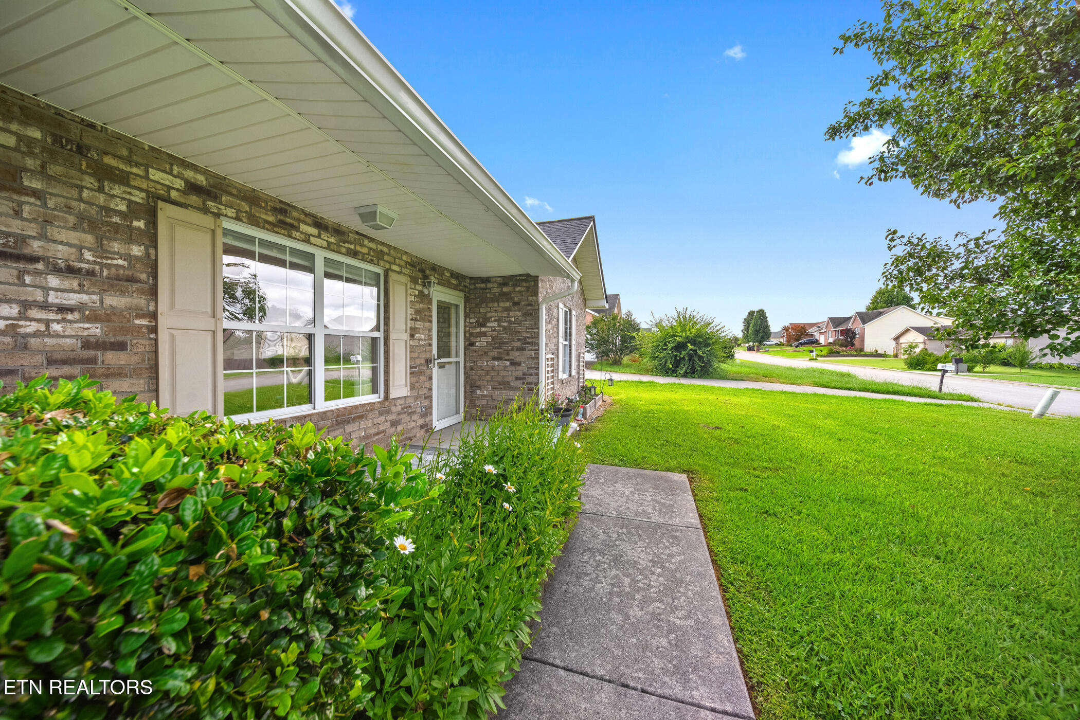 944 Mossy Grove Lane