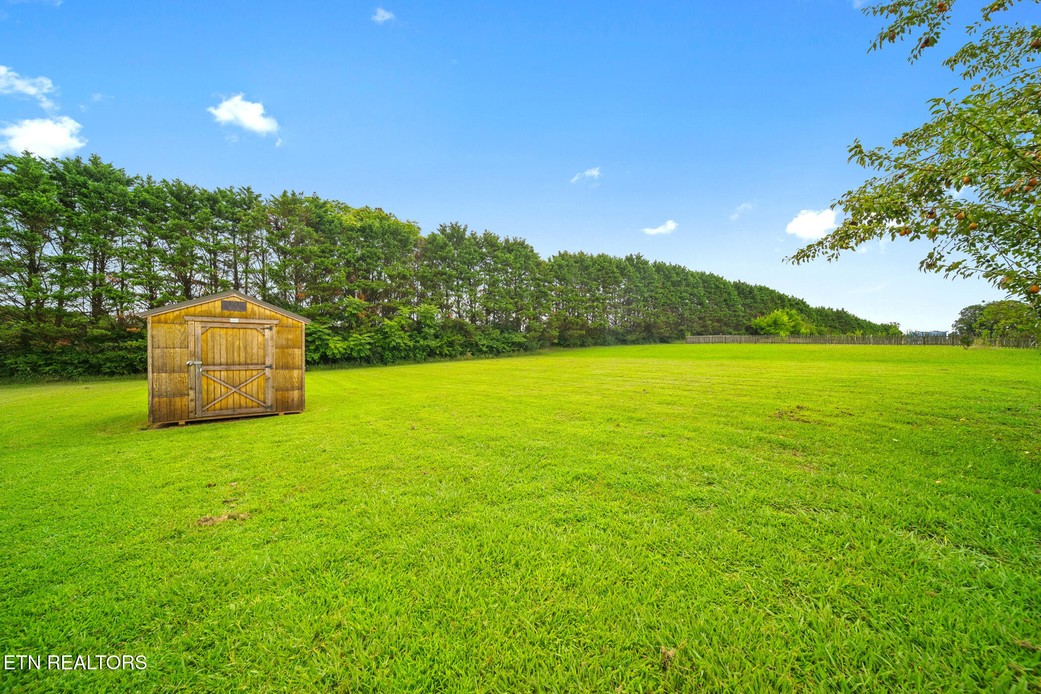 944 Mossy Grove Lane