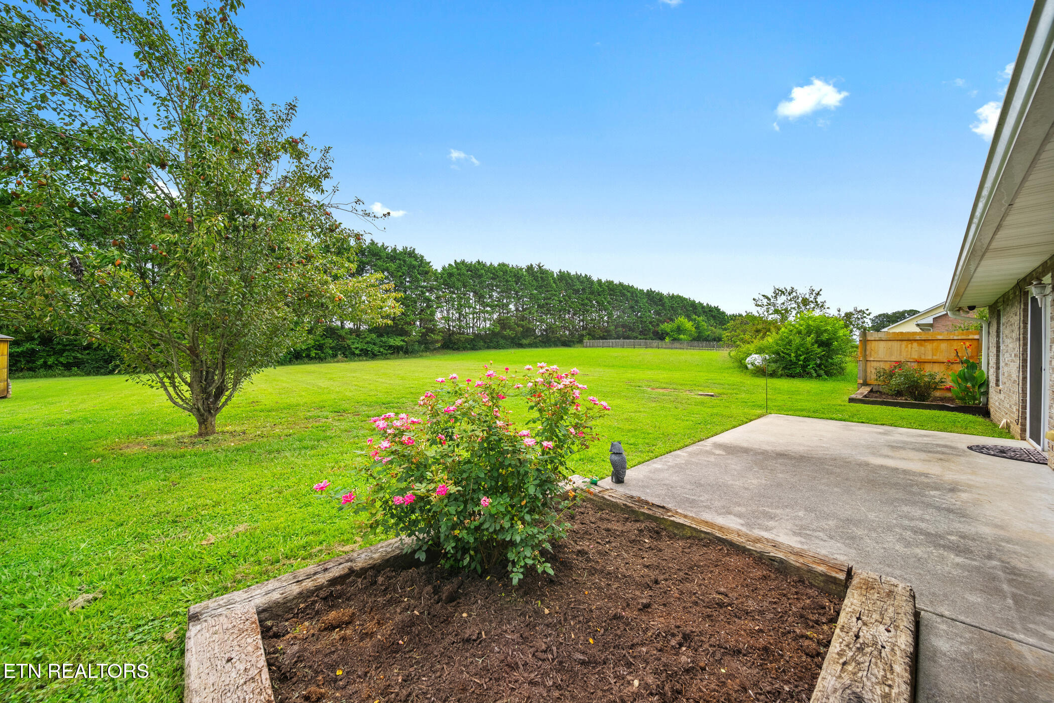 944 Mossy Grove Lane