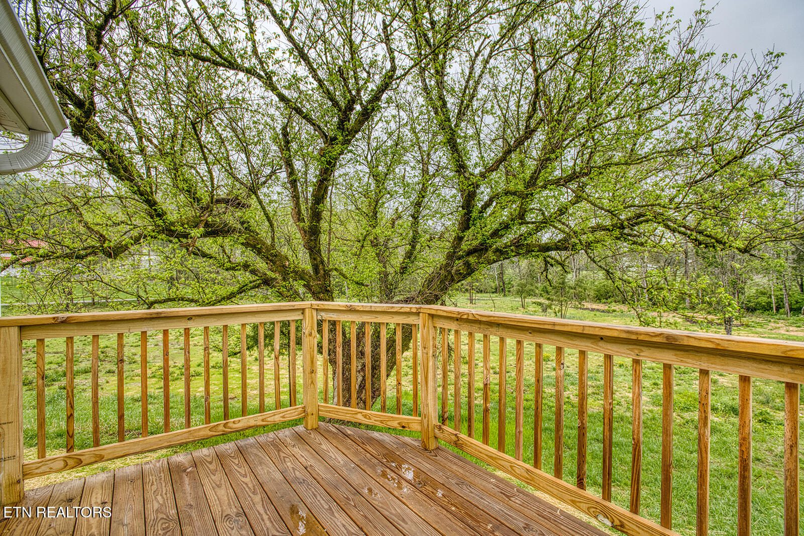 831 W Ford Valley Rd
