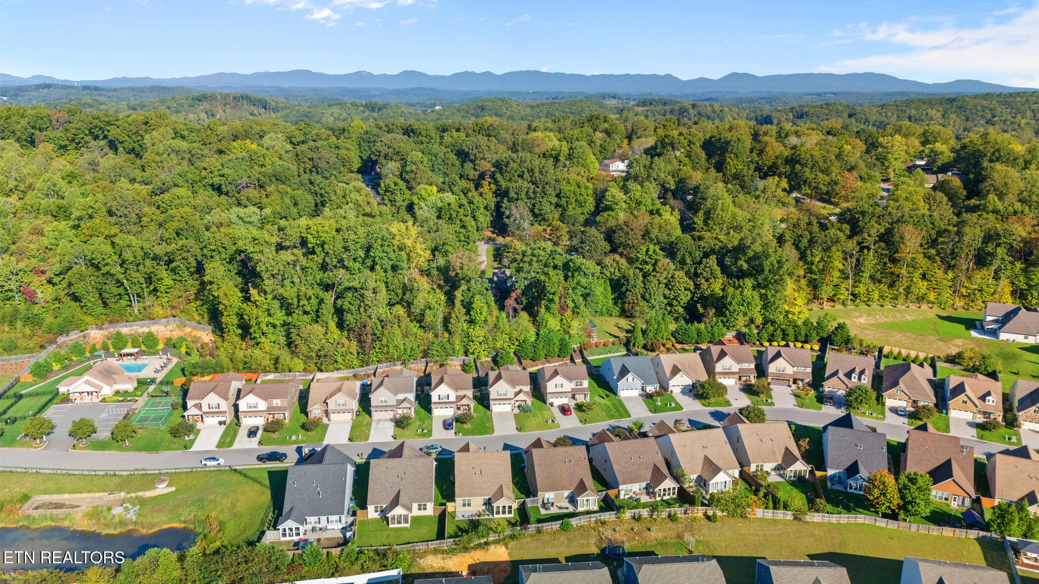 12134 Woodhollow Lane
