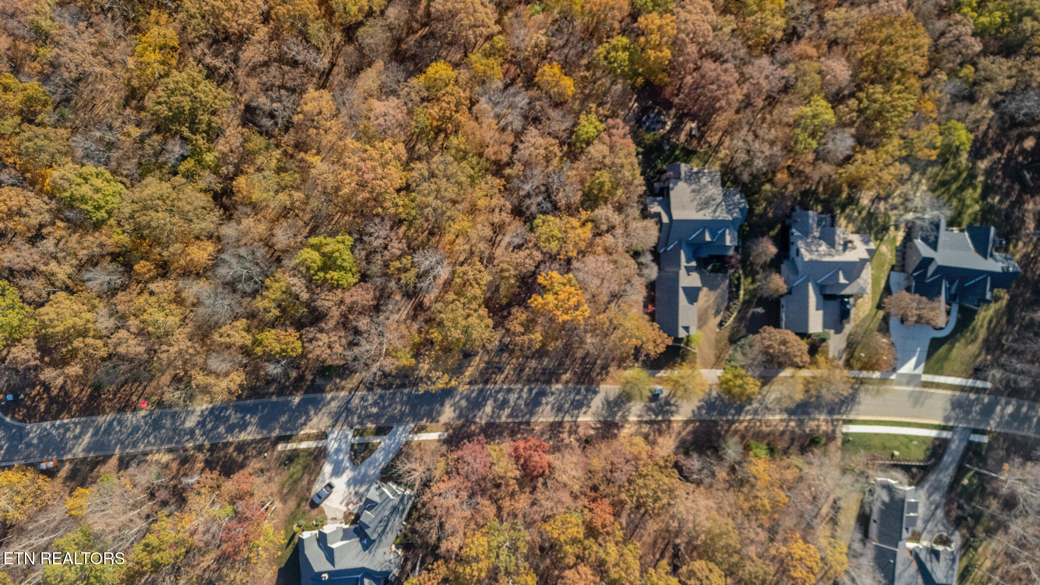 2908 Old Dogwood Tr