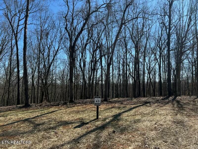 2908 Old Dogwood Tr