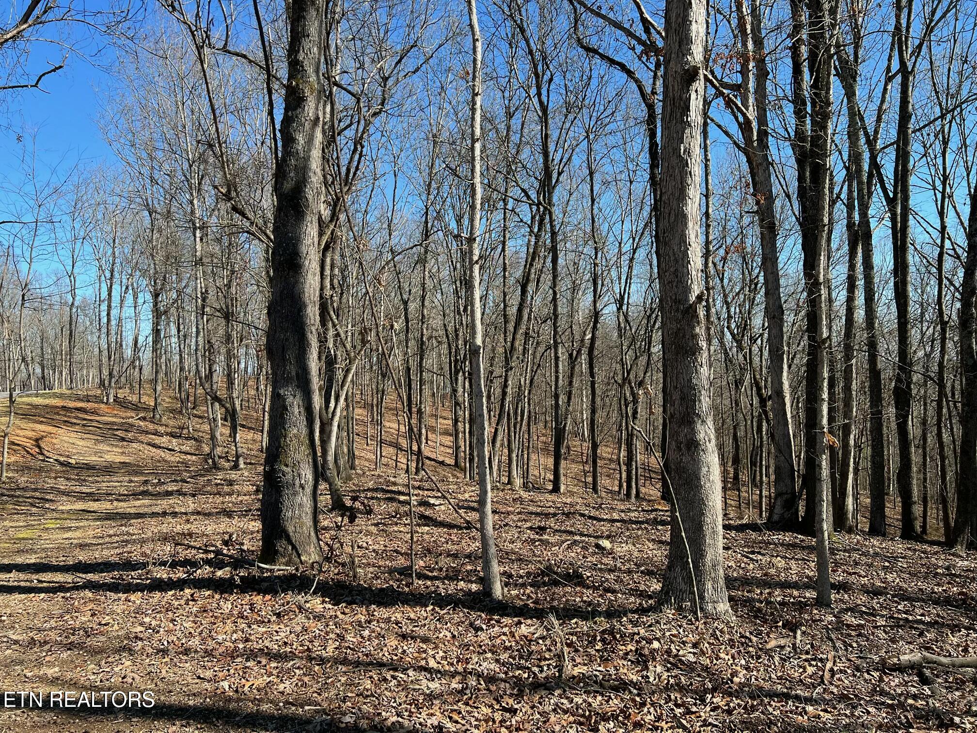 2908 Old Dogwood Tr