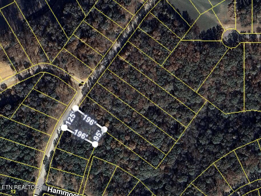 2908 Old Dogwood Tr