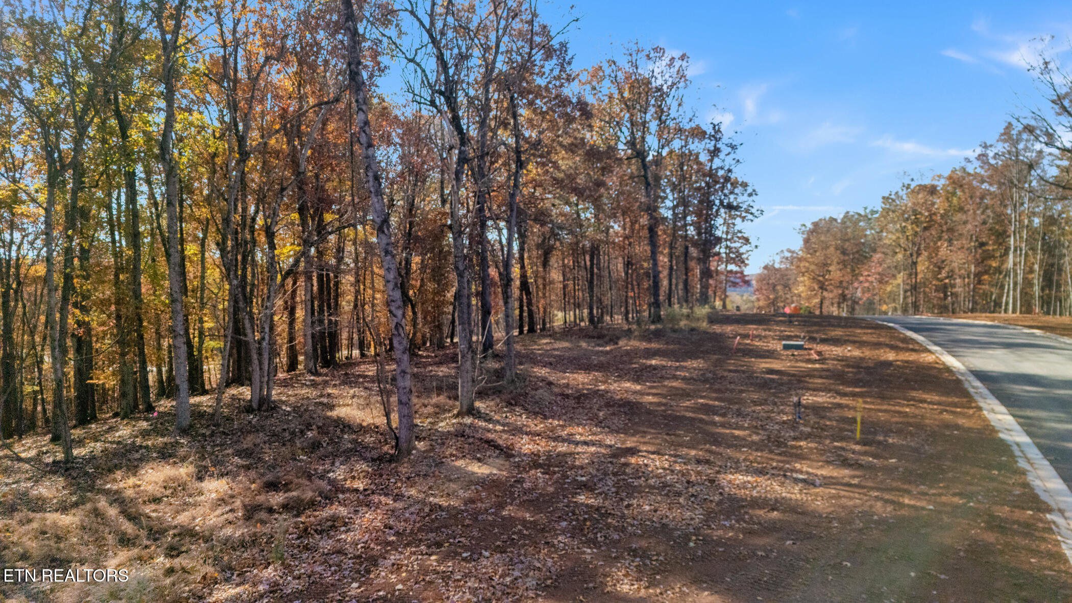 2908 Old Dogwood Tr