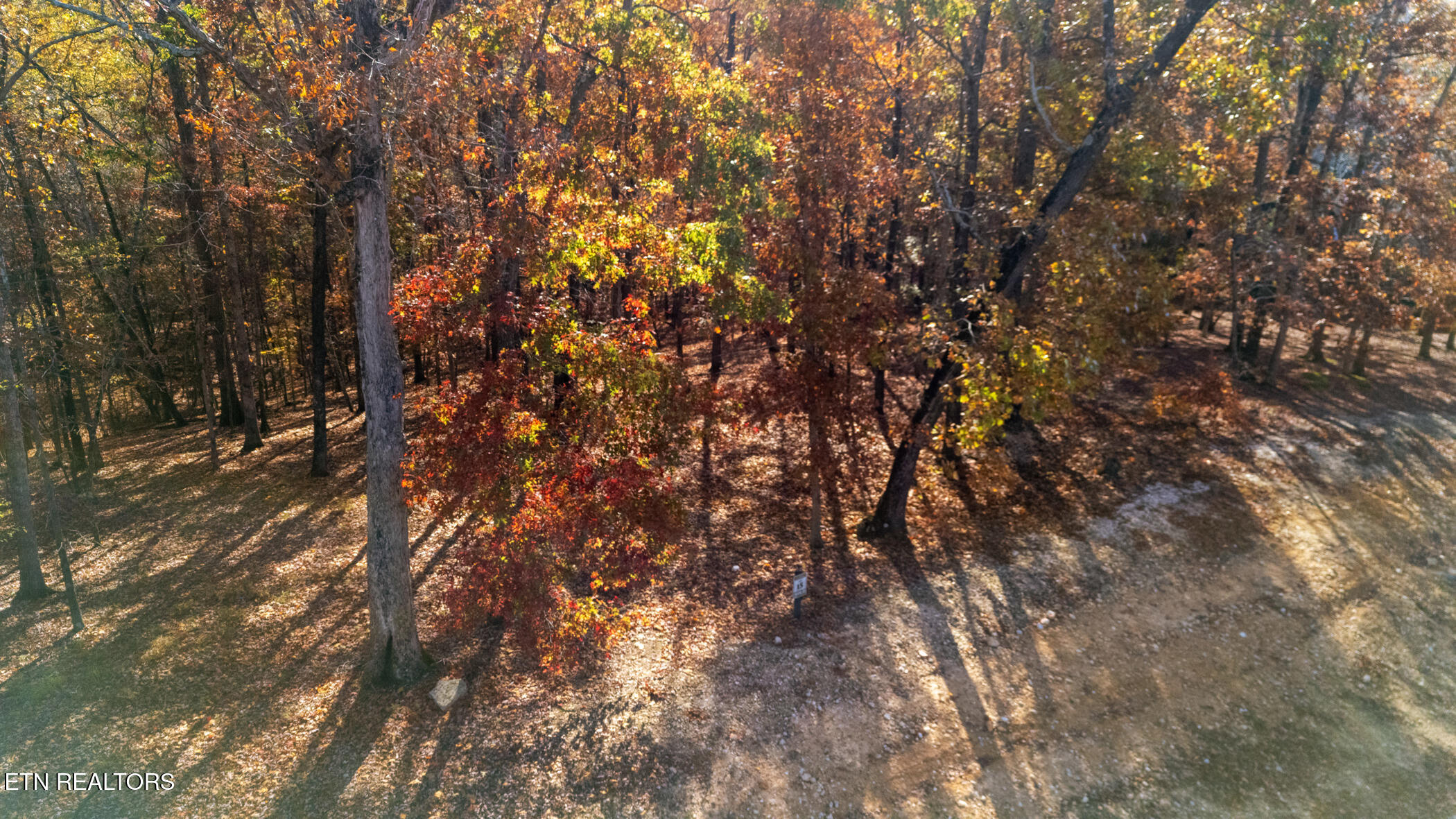 2148 Old Dogwood Tr