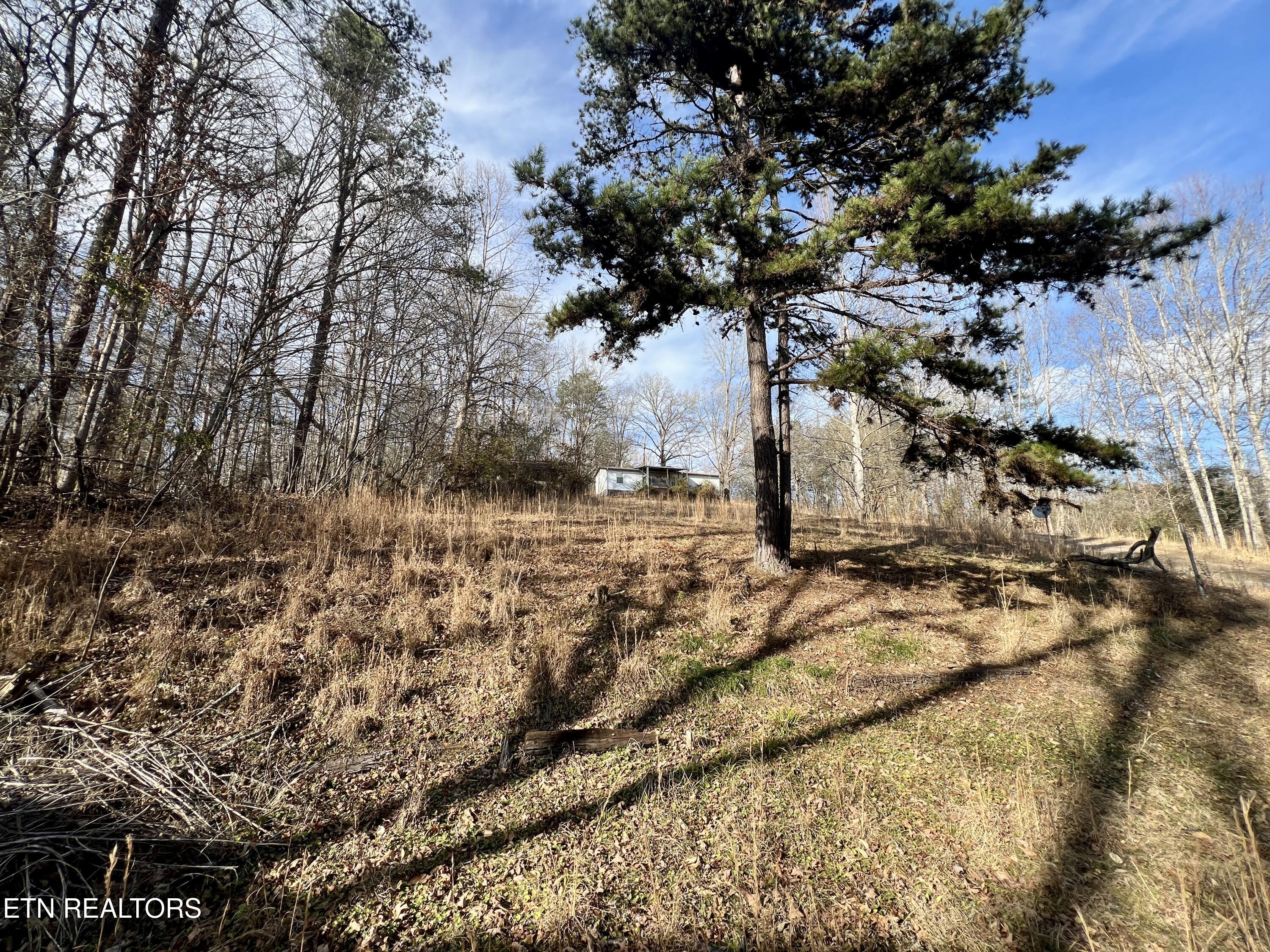 1711 Laurel Lane Lane
