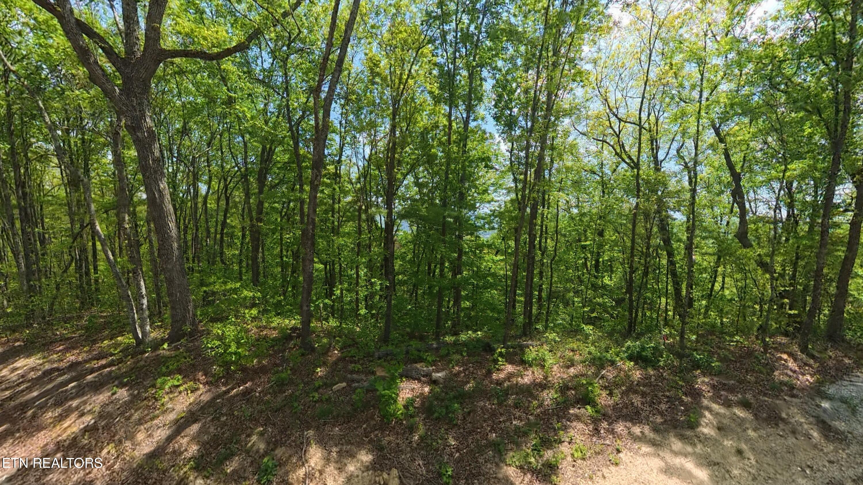 187 Eagle View Lane