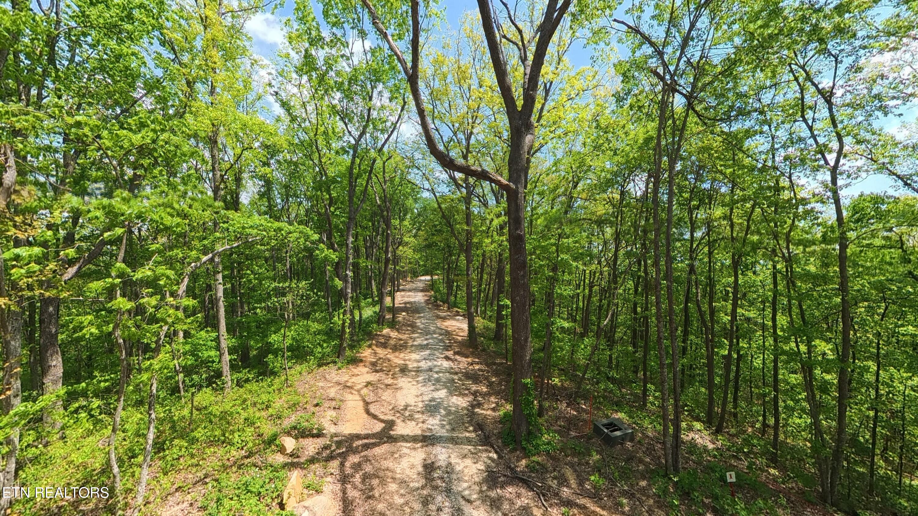197 Eagle View Lane