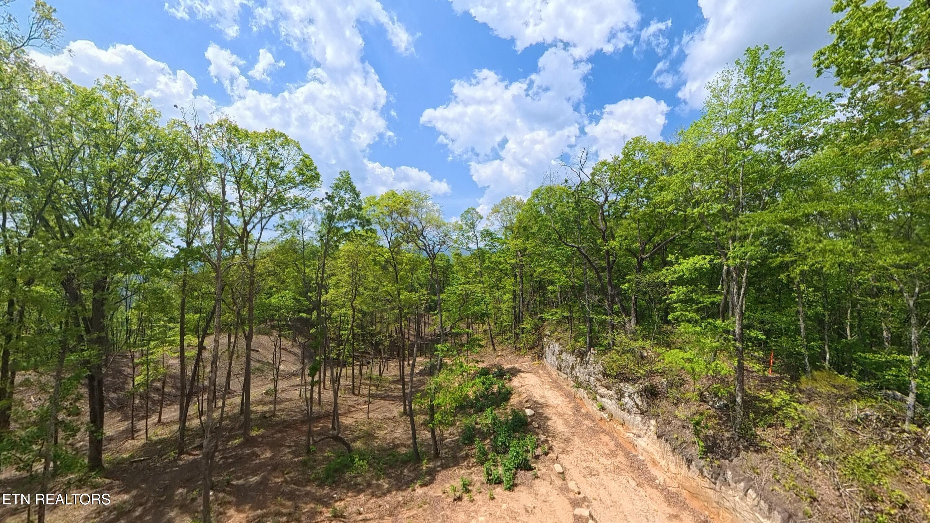 217 Eagle View Lane
