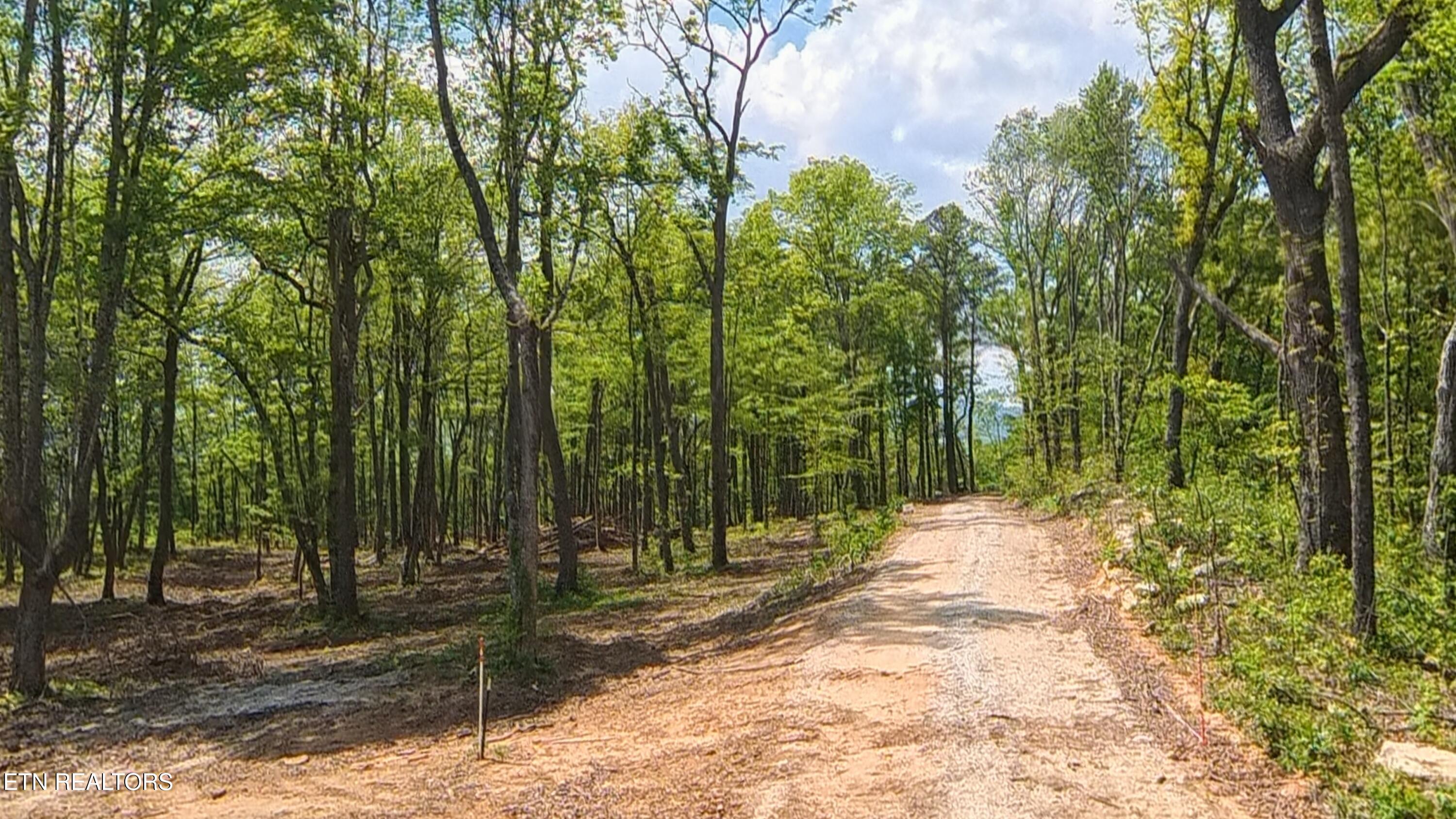 217 Eagle View Lane
