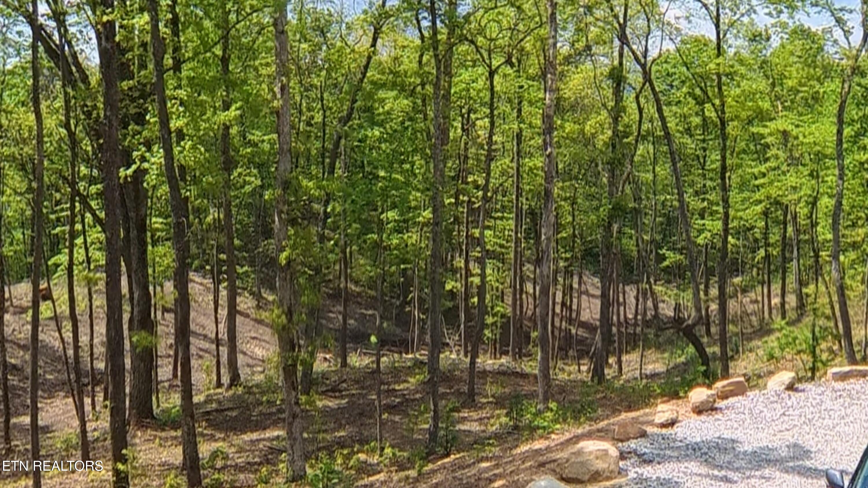 217 Eagle View Lane