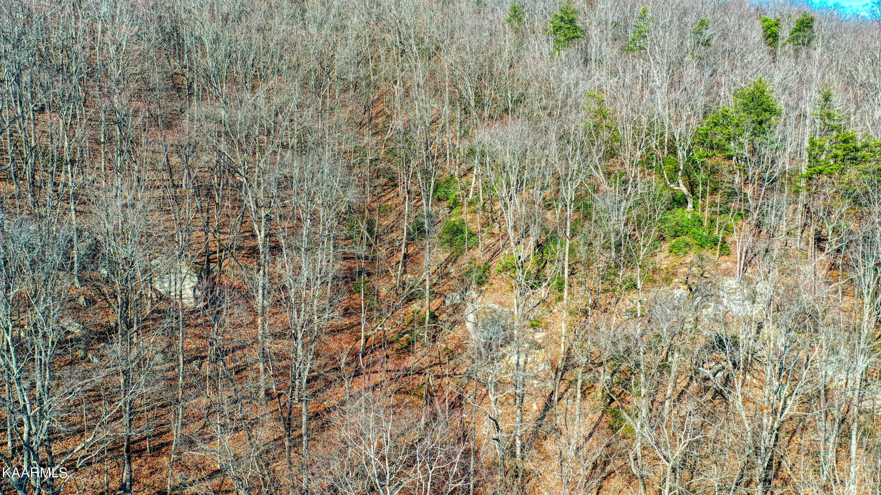 Hilltop Drive